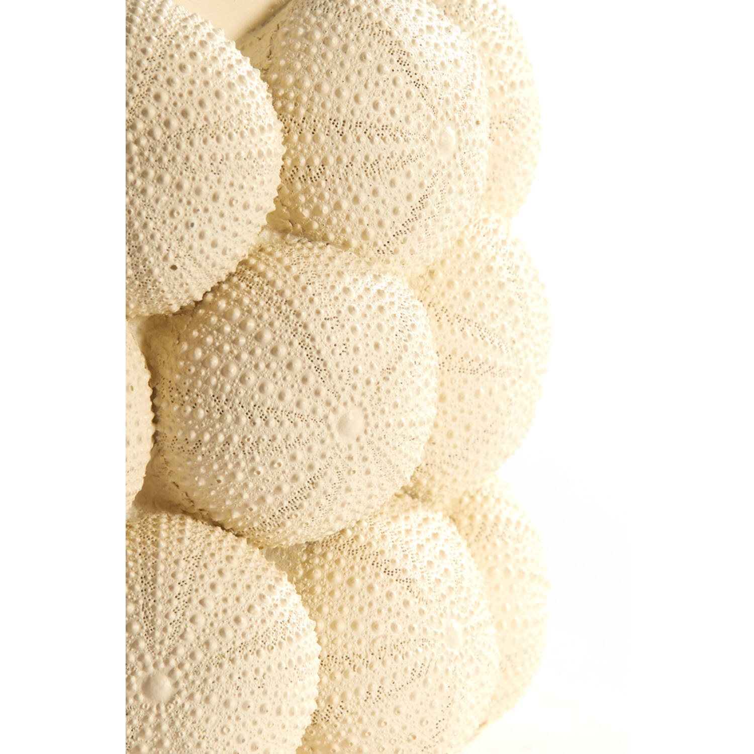 Vase deco Ø20,5x18 cm SEA URCHIN cream