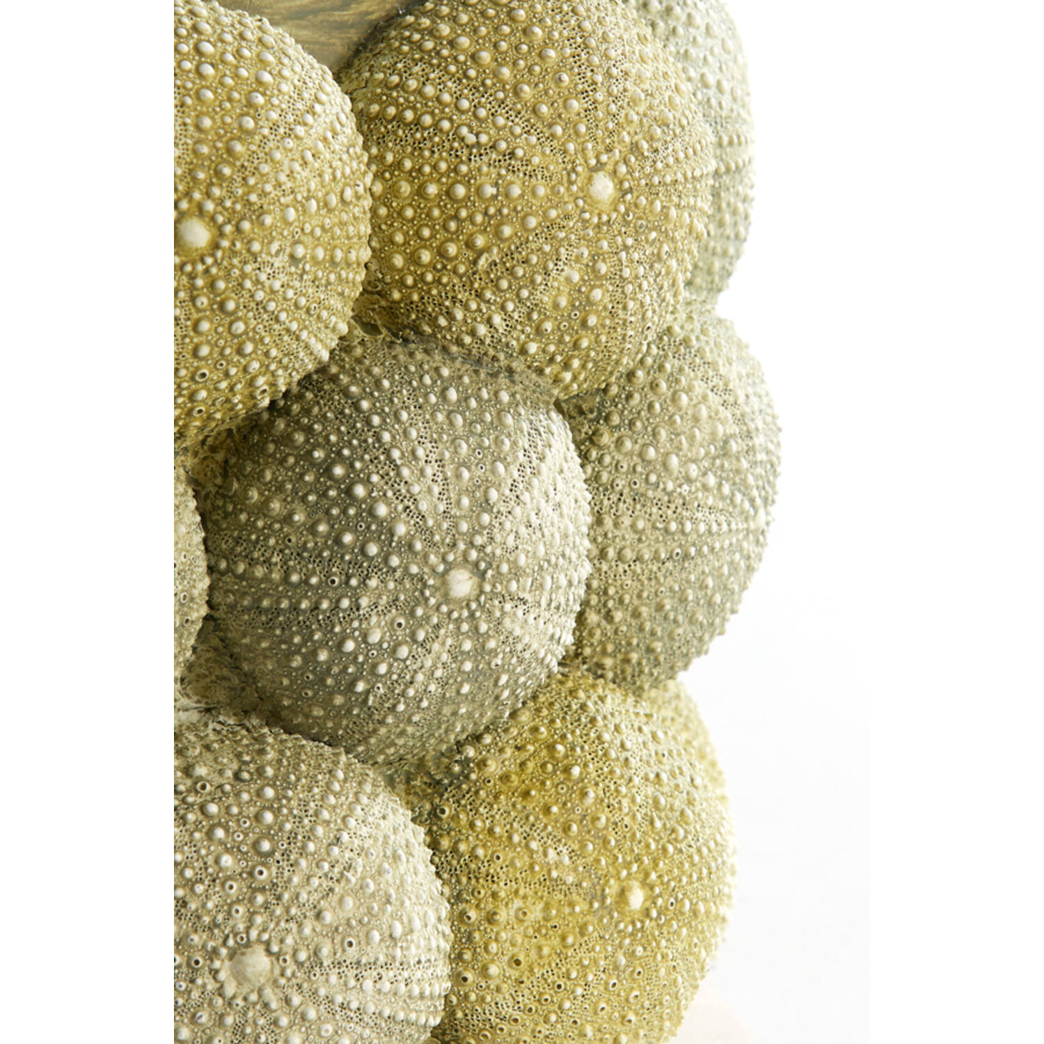 Vase deco Ø20,5x18 cm SEA URCHIN green+dark green