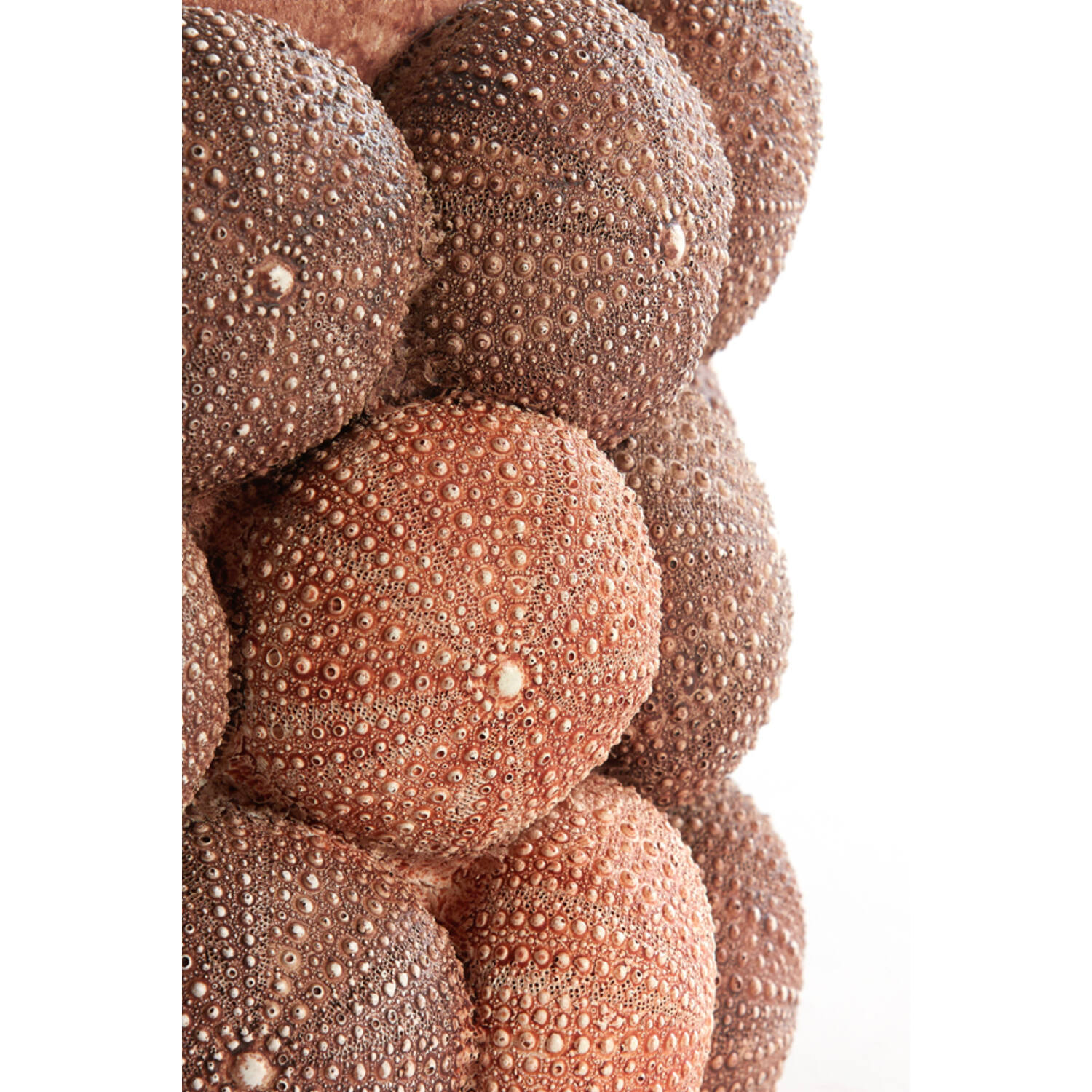 Vasija adorno Ø19x32,5 cm SEA URCHIN rojo coral+burdeos