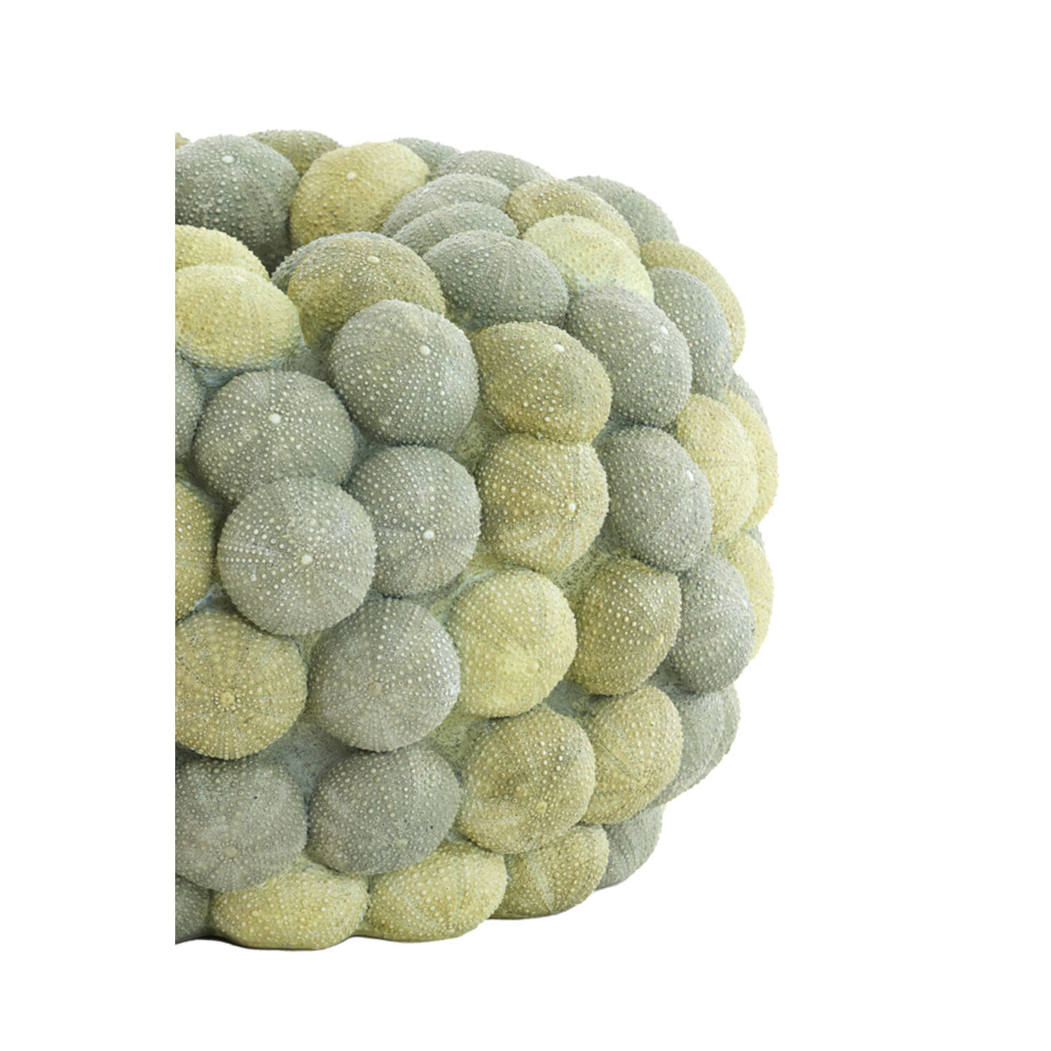 Vase deco Ø40x23,5 cm SEA URCHIN green+dark green