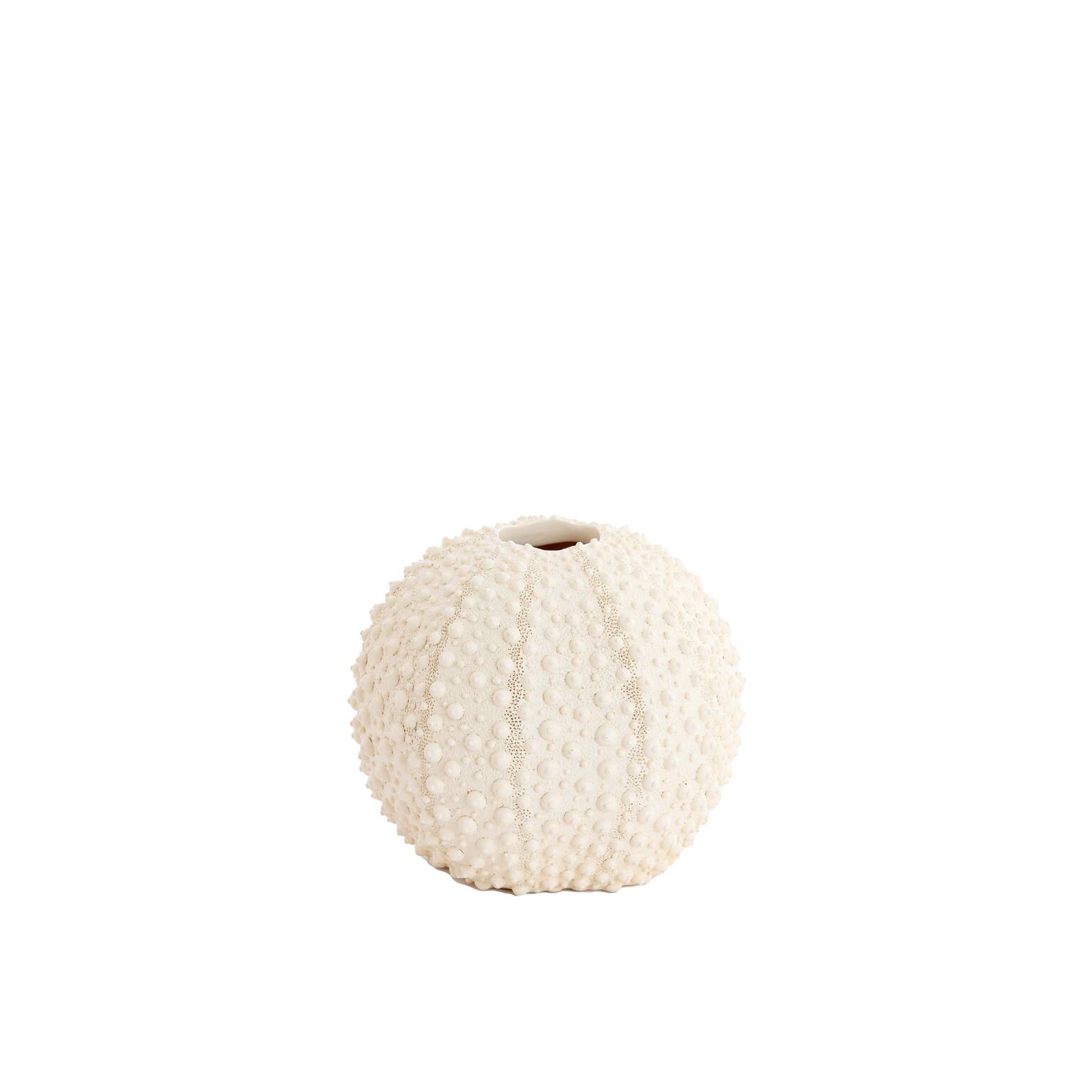 Vaas deco Ø16x14 cm SEA URCHIN crème