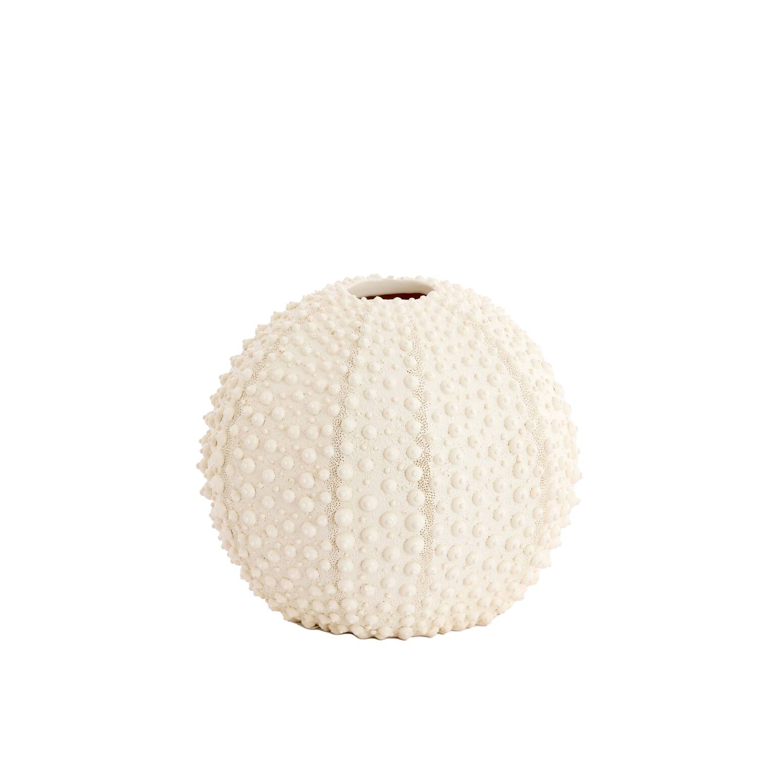 Vaas deco Ø22x18,5 cm SEA URCHIN crème