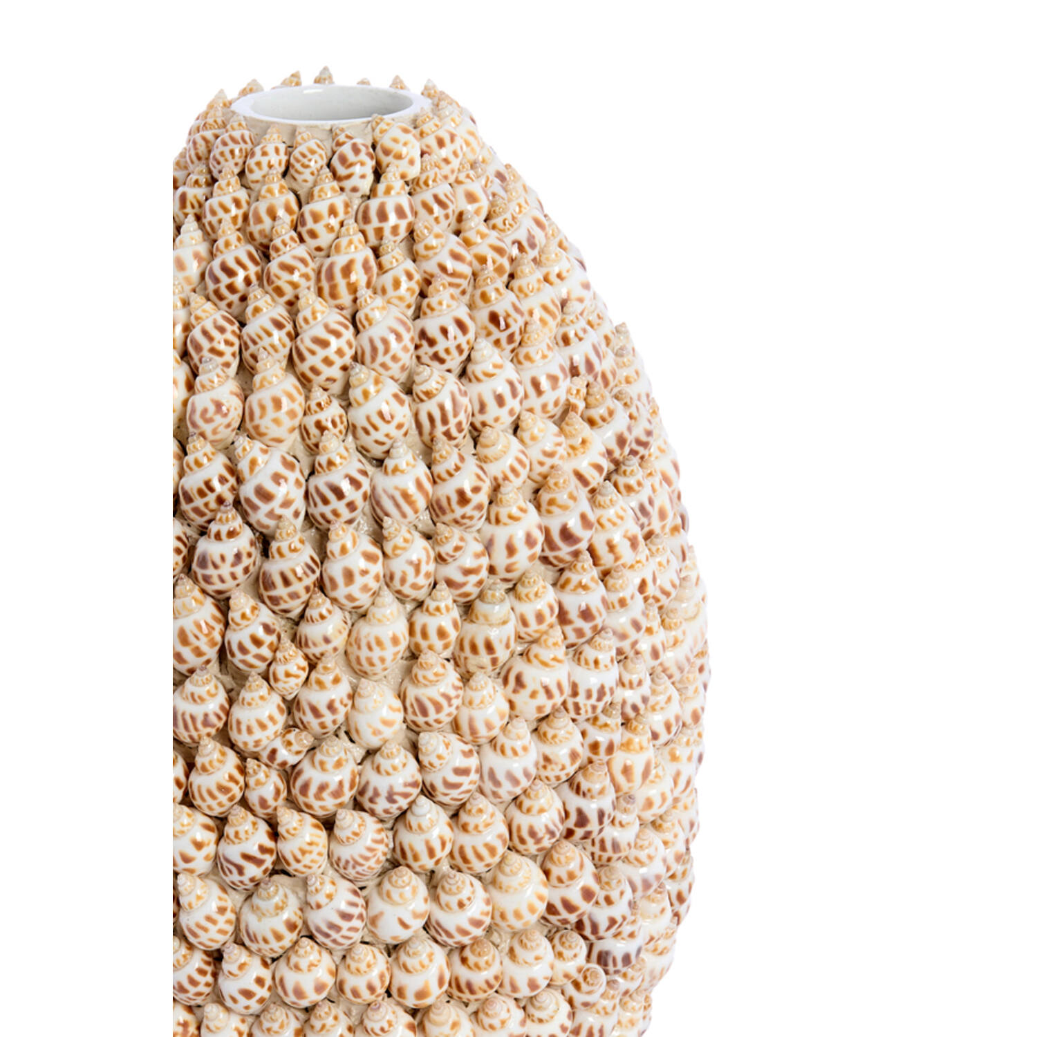 Vase deco Ø19x28,5 cm SHELL cream+brown