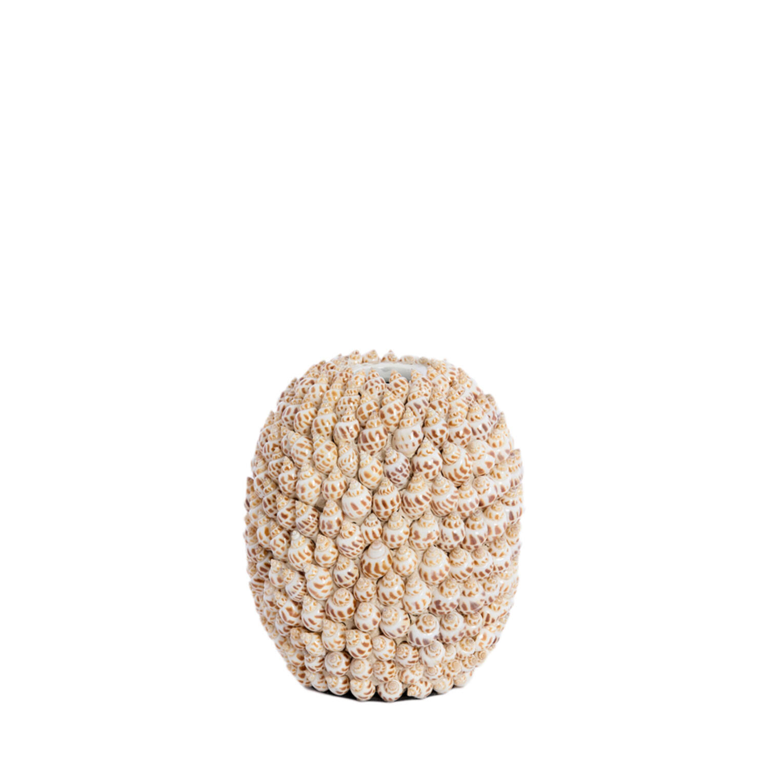 Vase deco Ø15,5x17,5 cm SHELL cream+brown