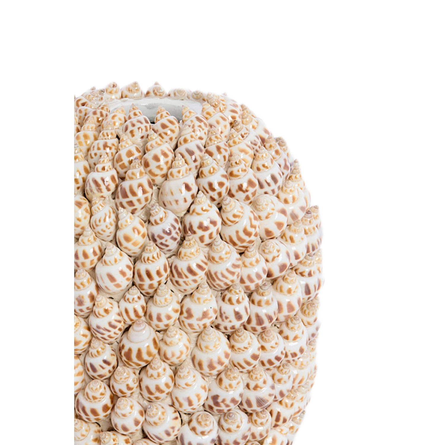 Vase deco Ø15,5x17,5 cm SHELL cream+brown