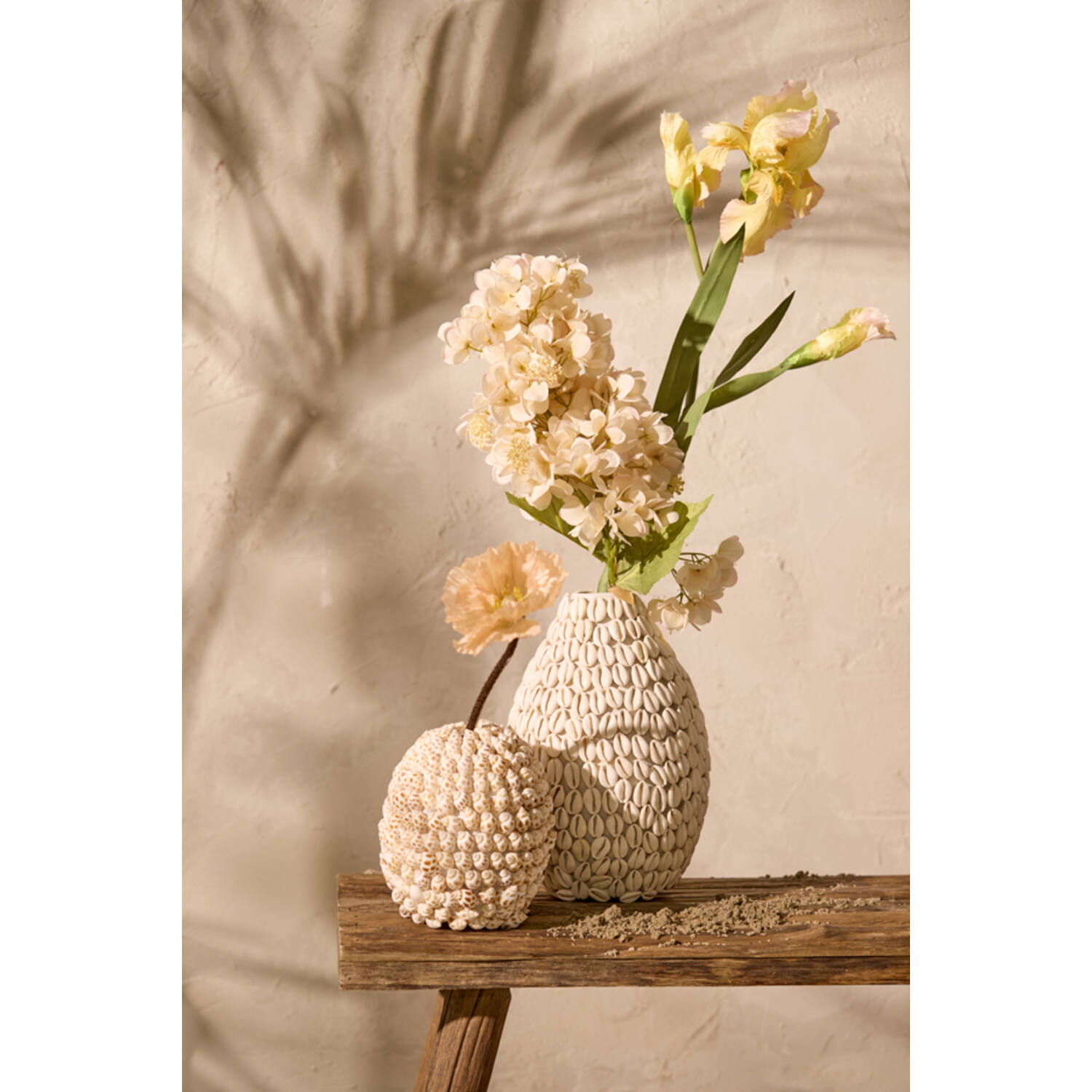 Vase deco Ø15,5x17,5 cm SHELL cream+brown