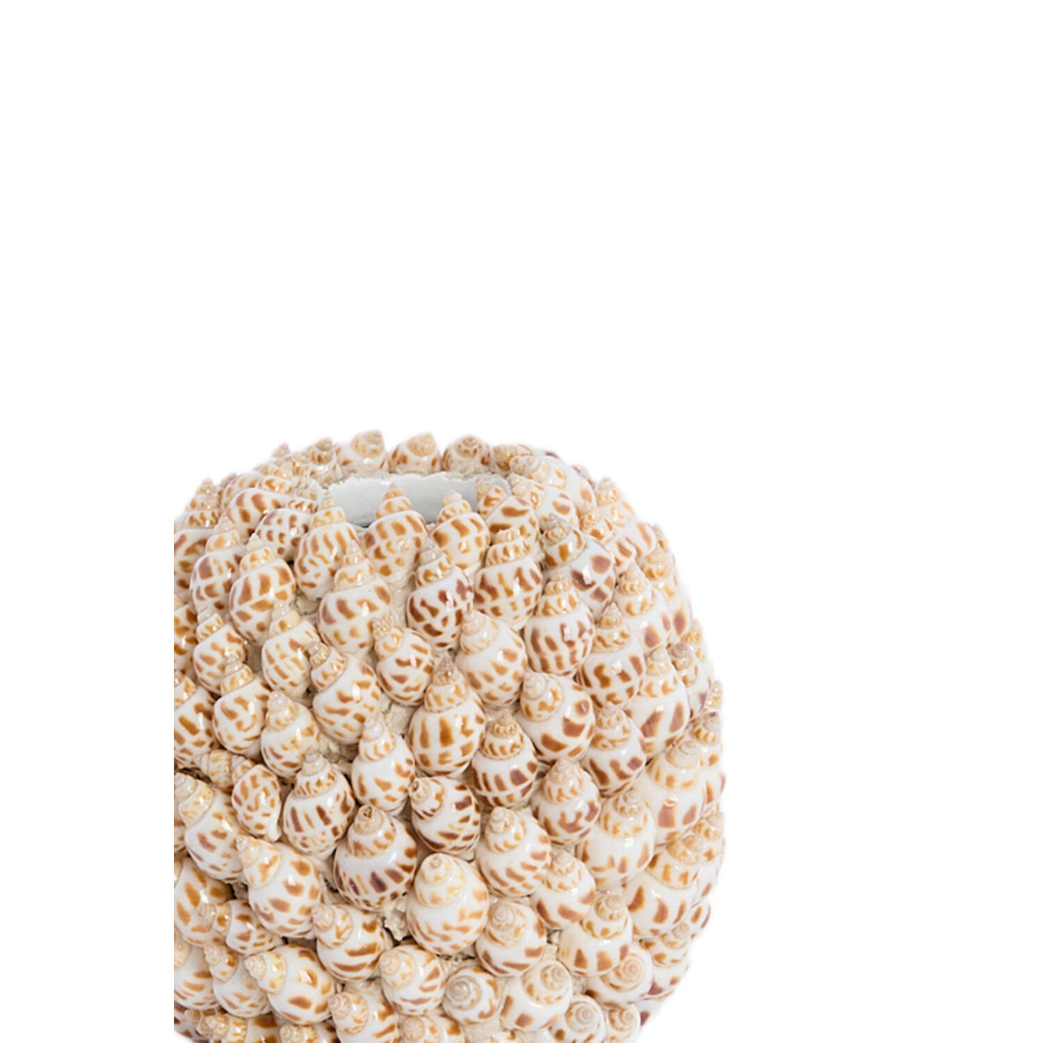 Vase deco Ø13x12 cm SHELL cream+brown