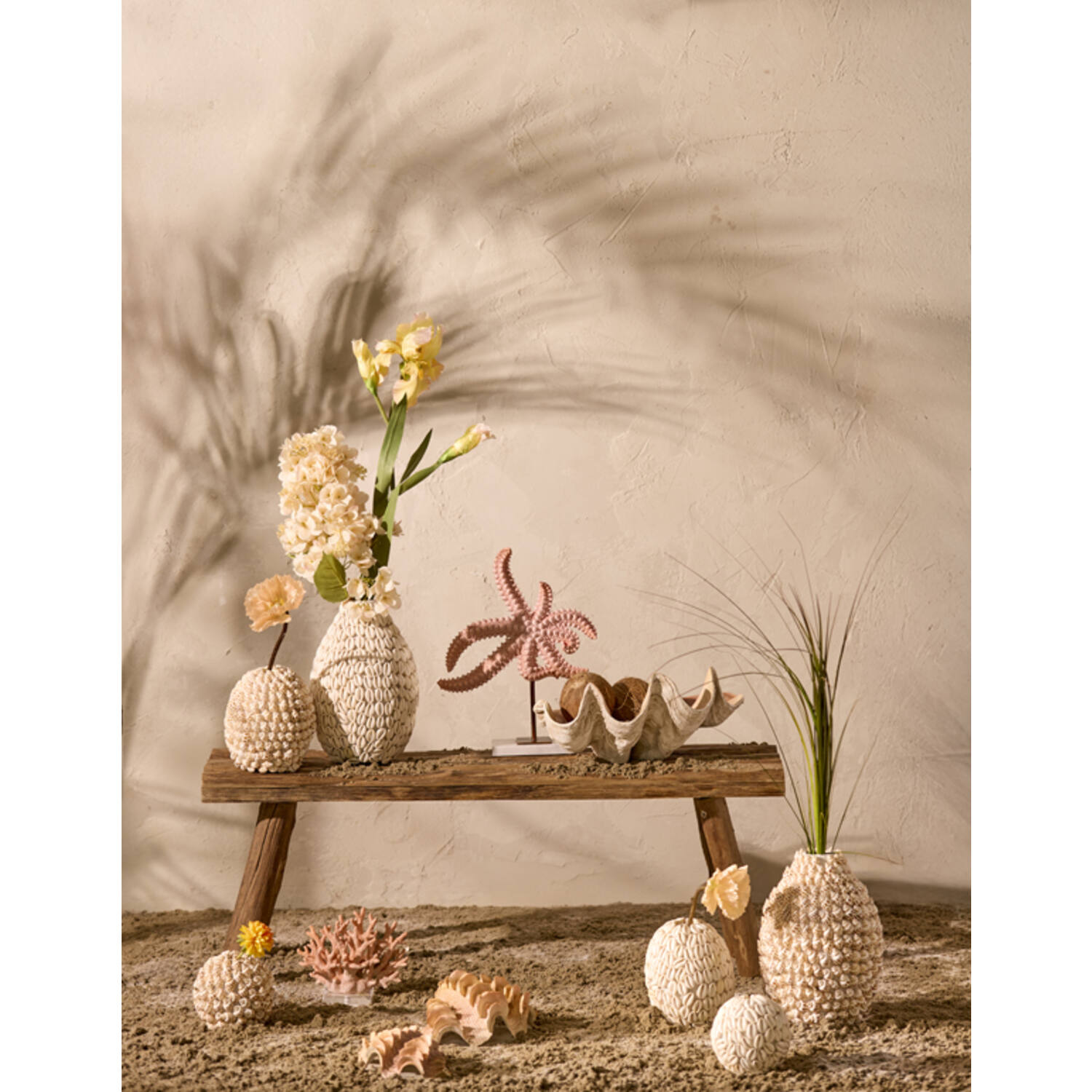 Vase deco Ø13x12 cm SHELL cream+brown