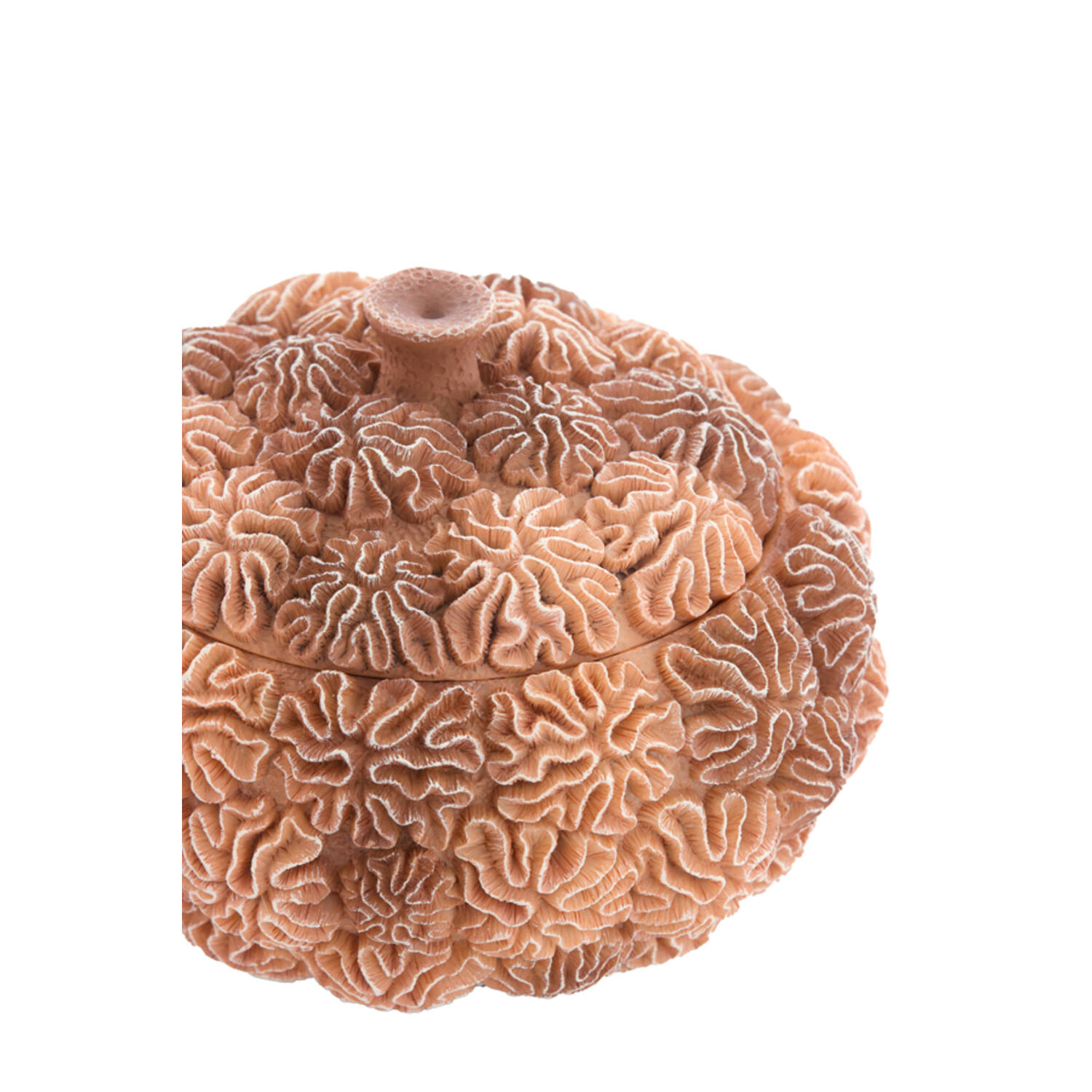 Deco box+deksel Ø20x15,5 cm CORAL perzik-licht bruin