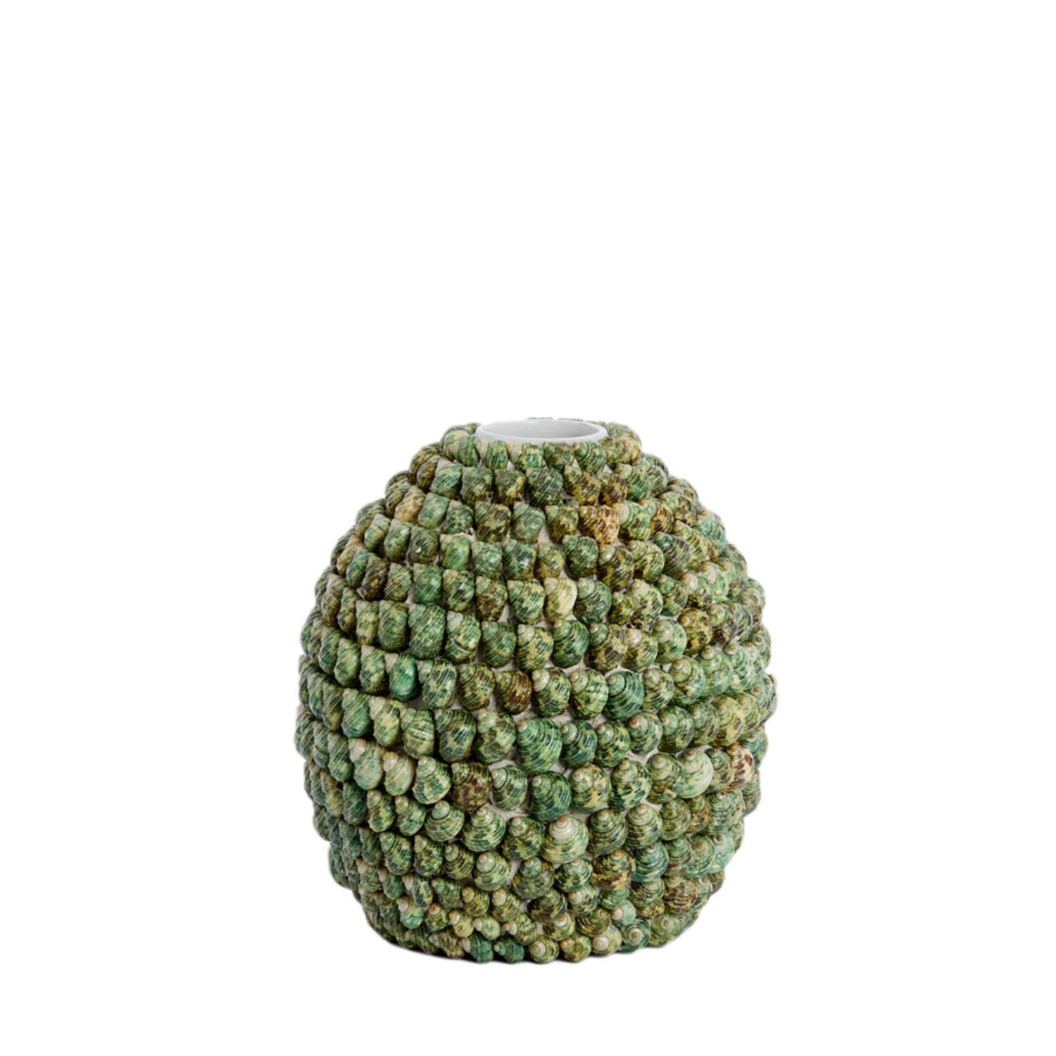Vase deco Ø25,5x28 cm SHELL green