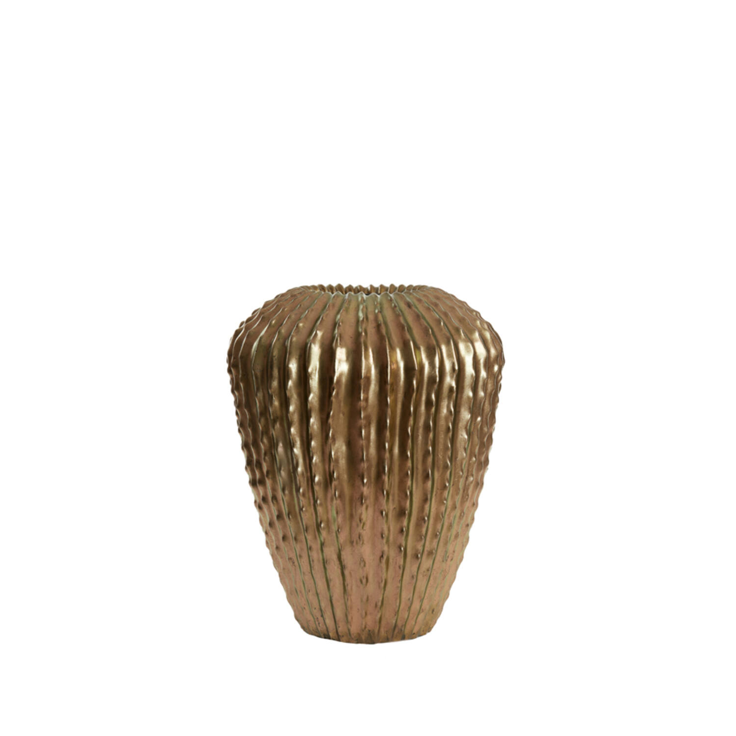 Vaas deco Ø52x65 cm CACTI antiek brons