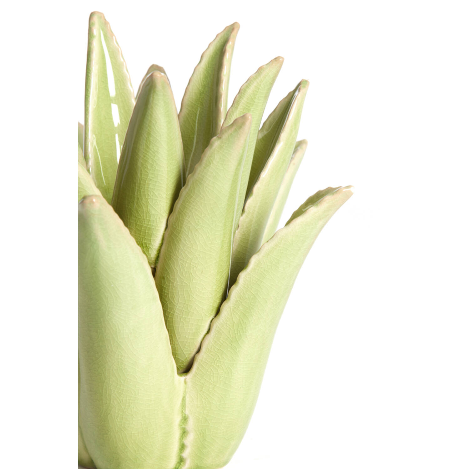 Candle stick Ø13x16 cm CACTUS ceramics light green