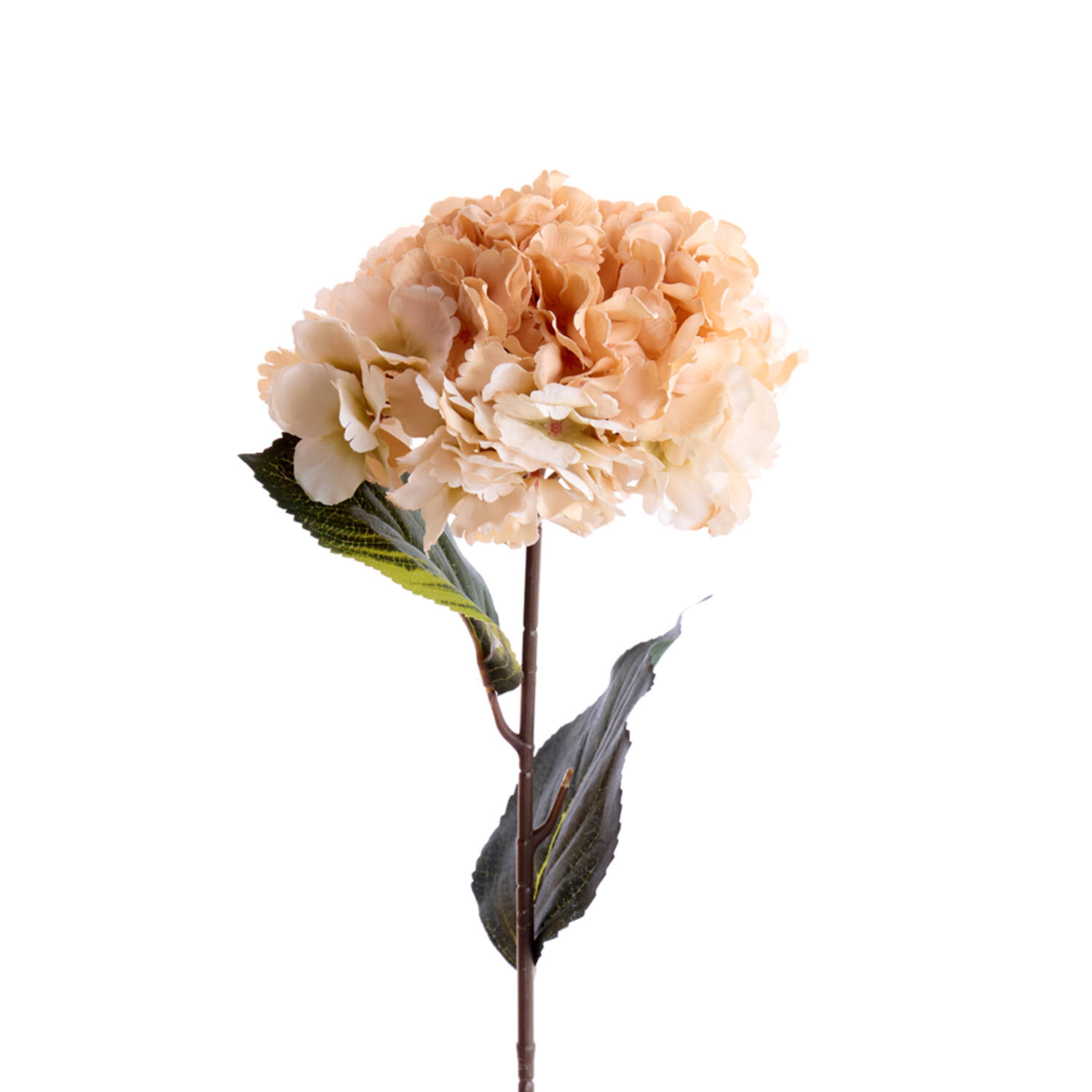 Artificial flower Ø18x72 cm HORTENSIA peach-cream