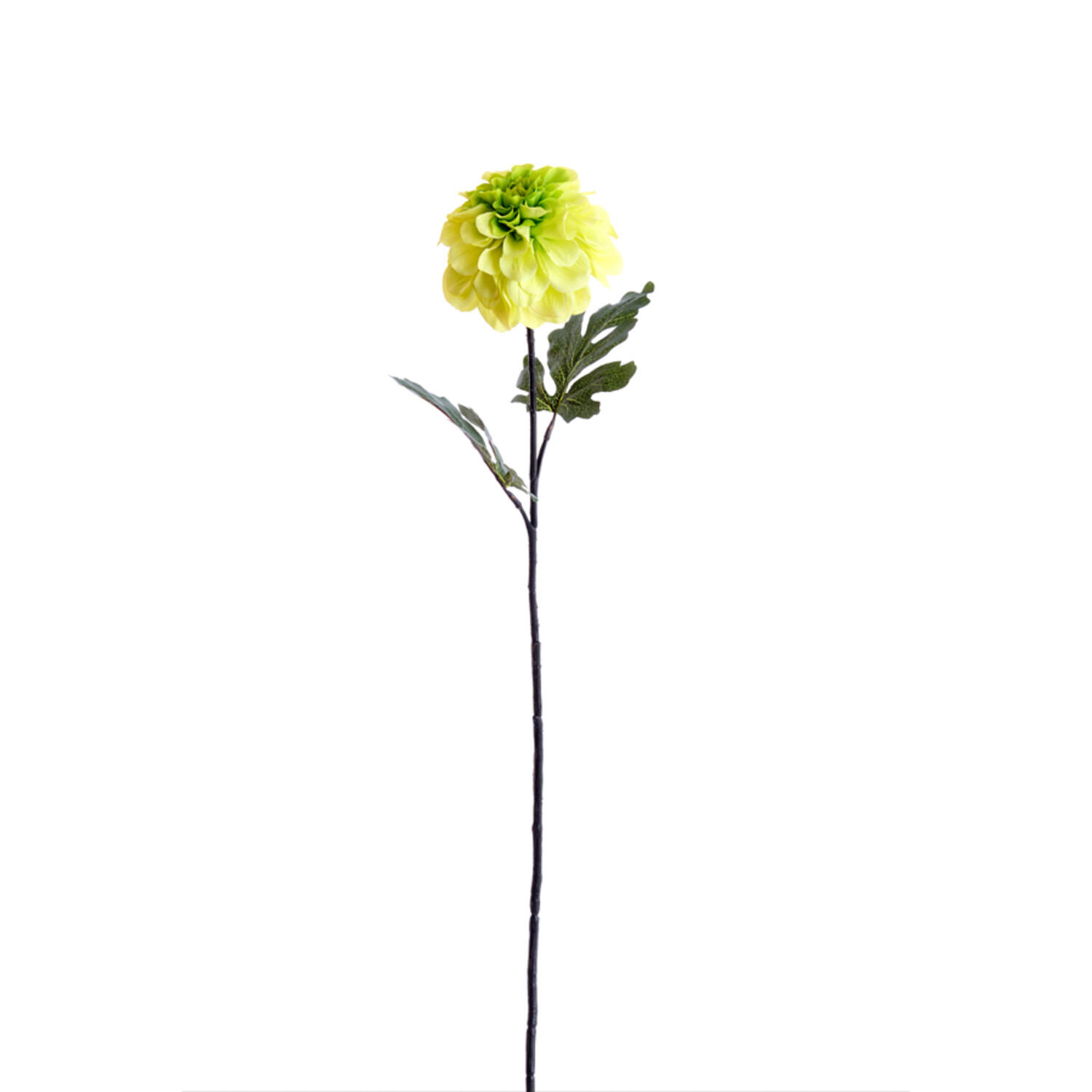 Artificial flower 12x10x76 cm JIRINA light green