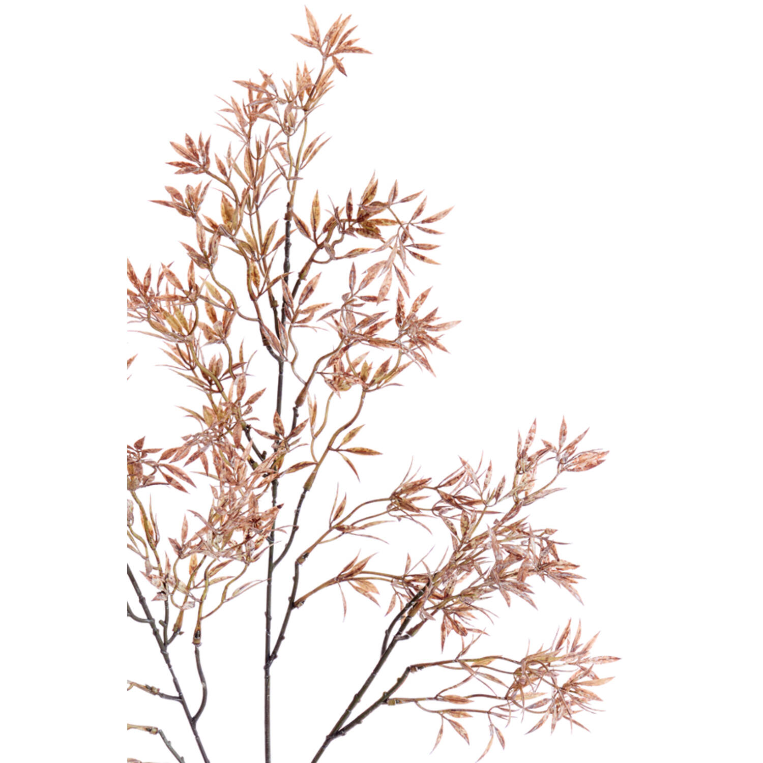 Artificial flower Ø15x88 cm NANDINA brown+red