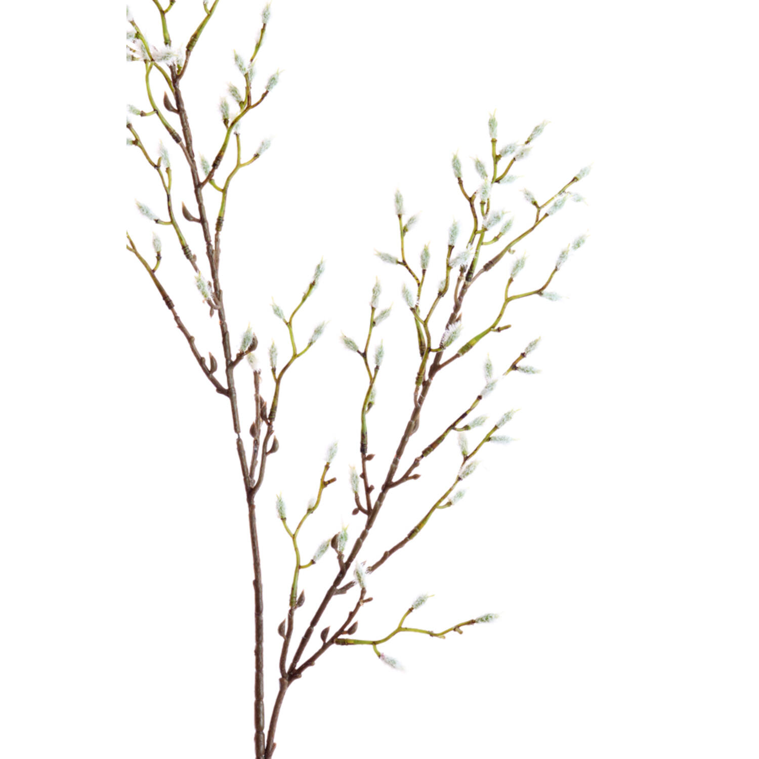 Artificial flower 20x5x90 cm CATKINS cream