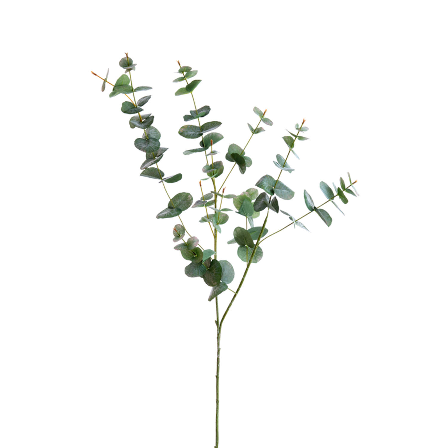 Artificial flower 25x10x98 cm EUCALYPTO green