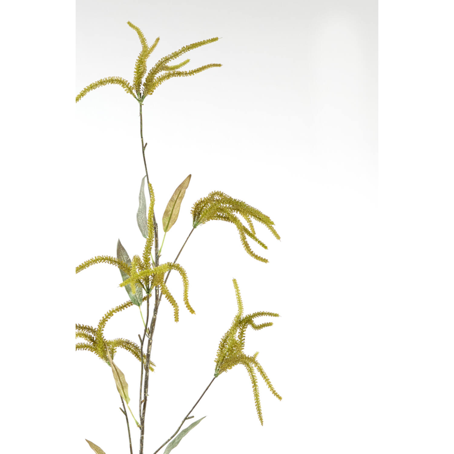 Artificial flower 20x10x120 cm PIPERALES green