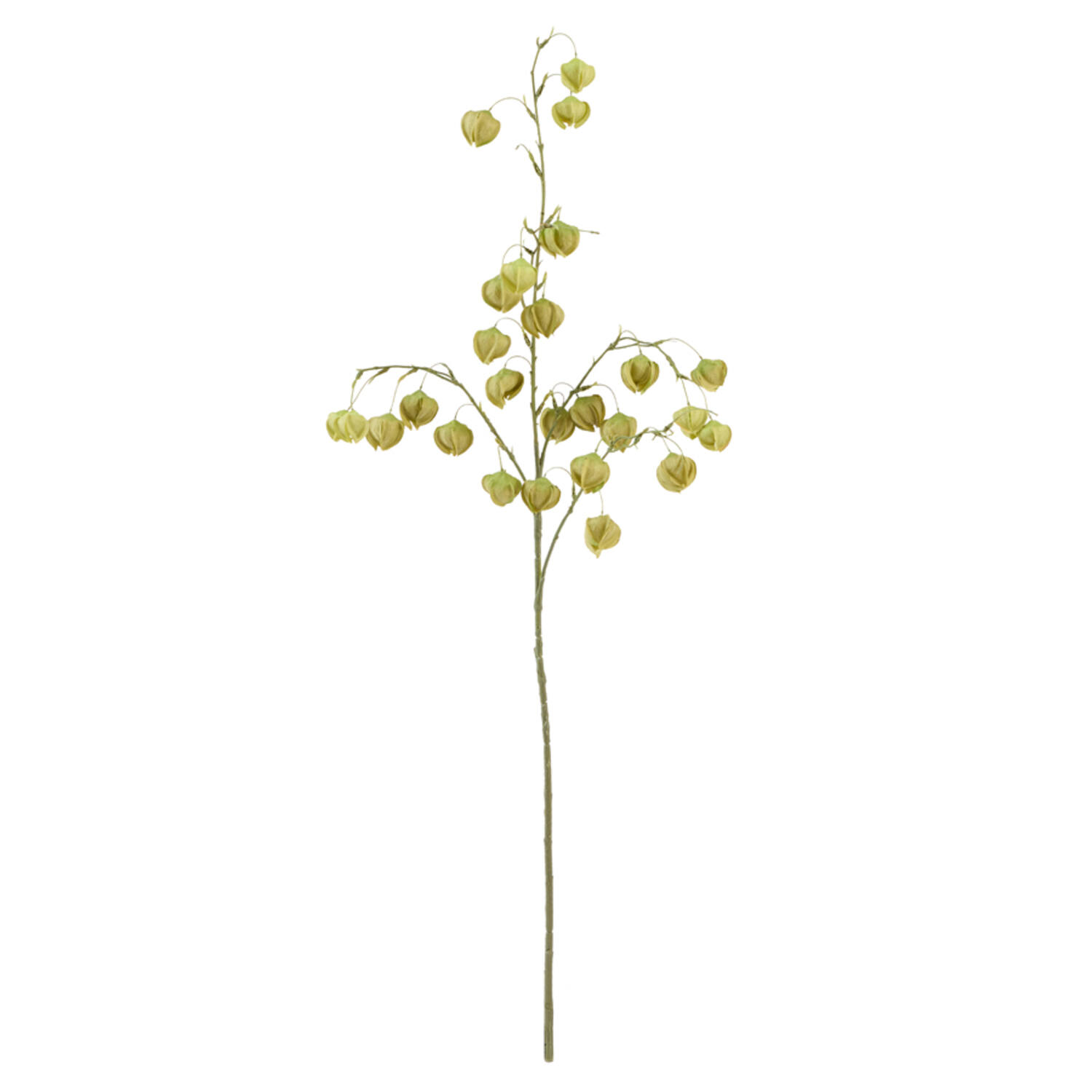 Artificial flower 20x10x100 cm PHYSALIS light green