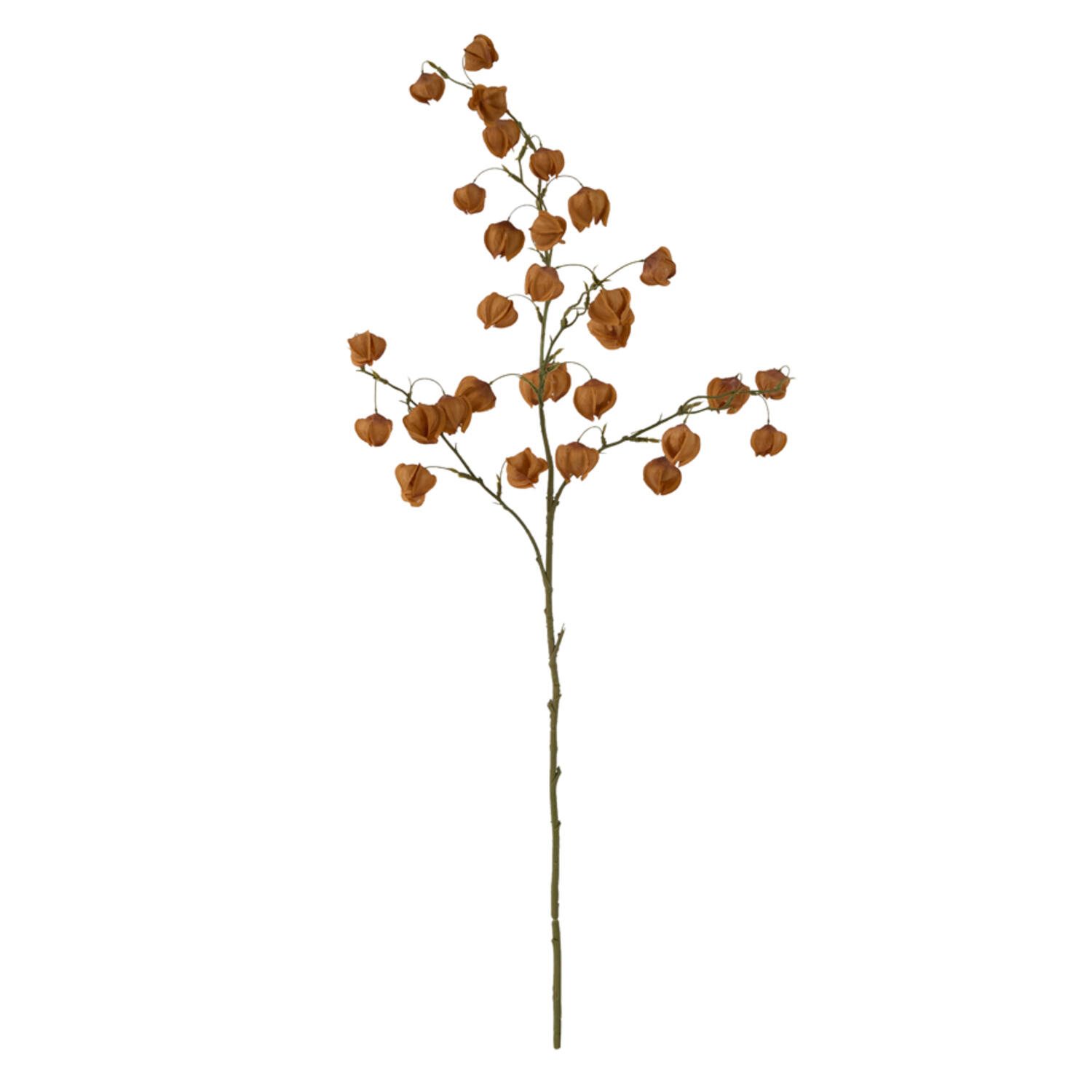 Artificial flower 20x10x100 cm PHYSALIS terra-orange