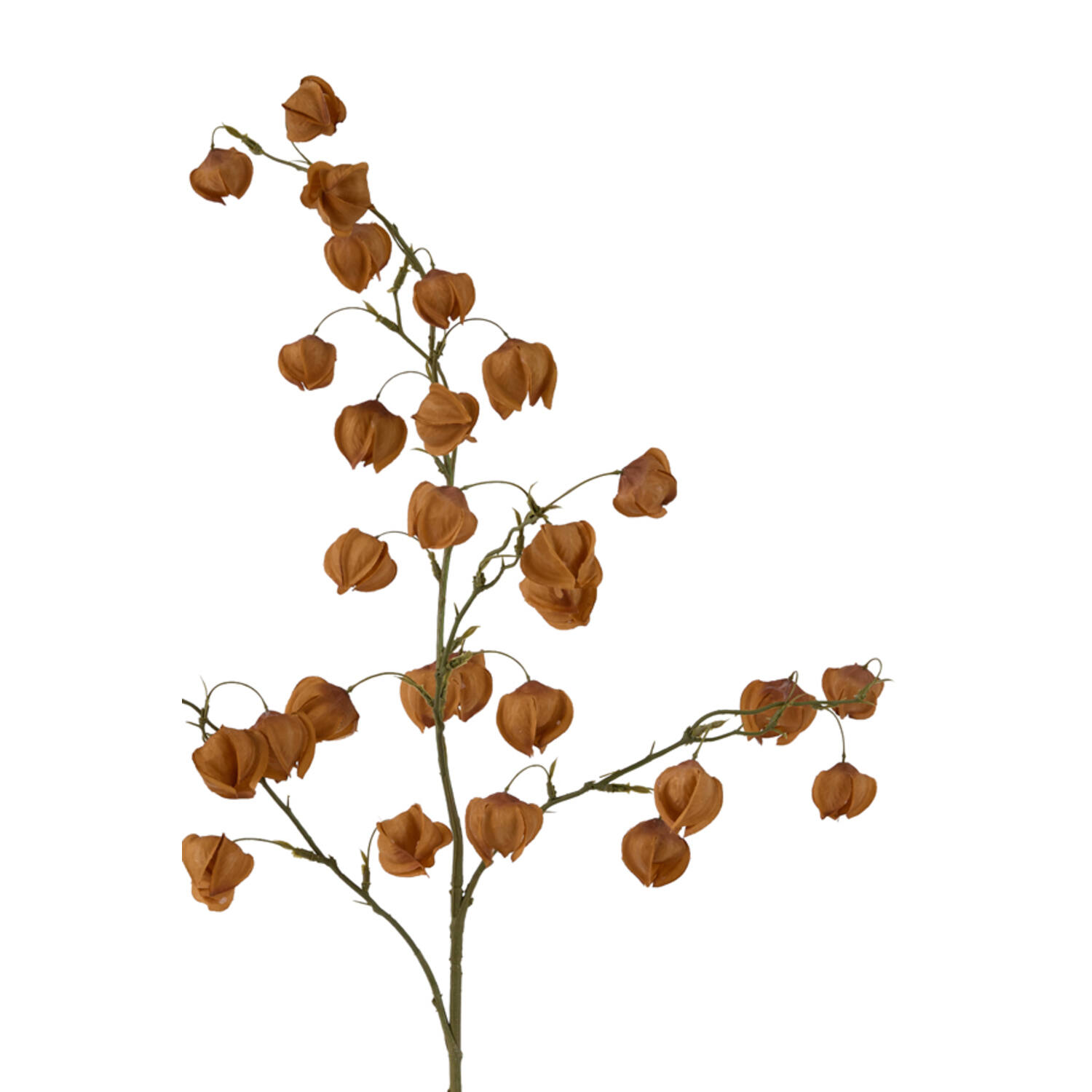 Artificial flower 20x10x100 cm PHYSALIS terra-orange