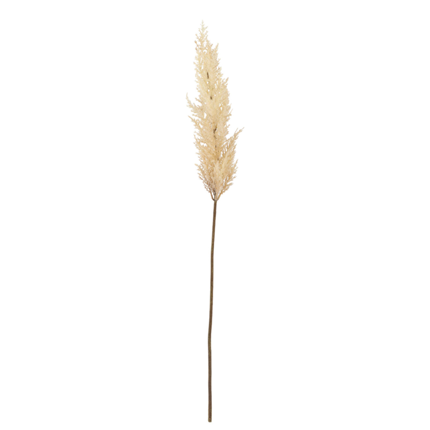 Artificial flower 10x10x96 cm PAMPAS beige