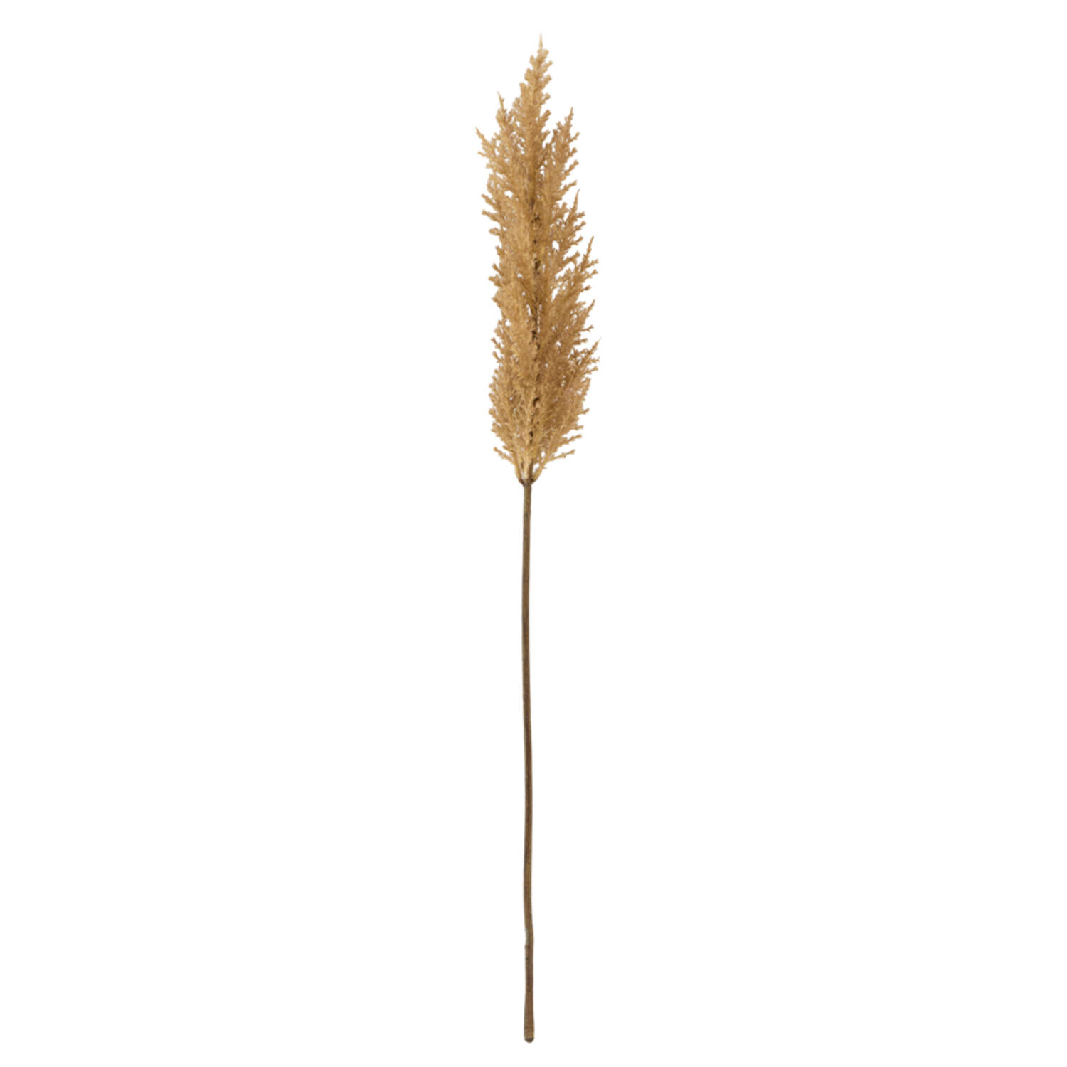 Artificial flower 10x10x96 cm PAMPAS brown