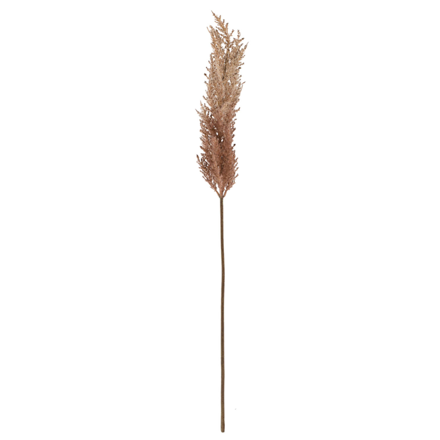 Artificial flower 10x10x96 cm PAMPAS eggplant-sand