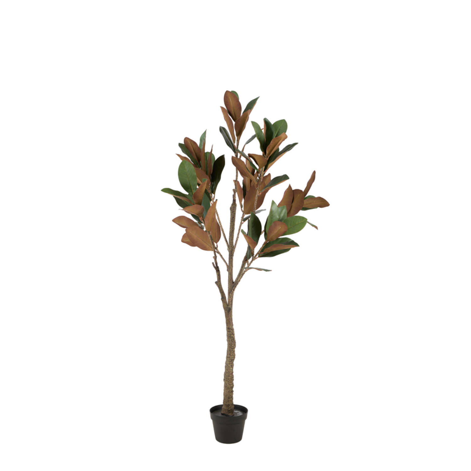 Artificial tree Ø55x150 cm MAGNOLIA green+brown