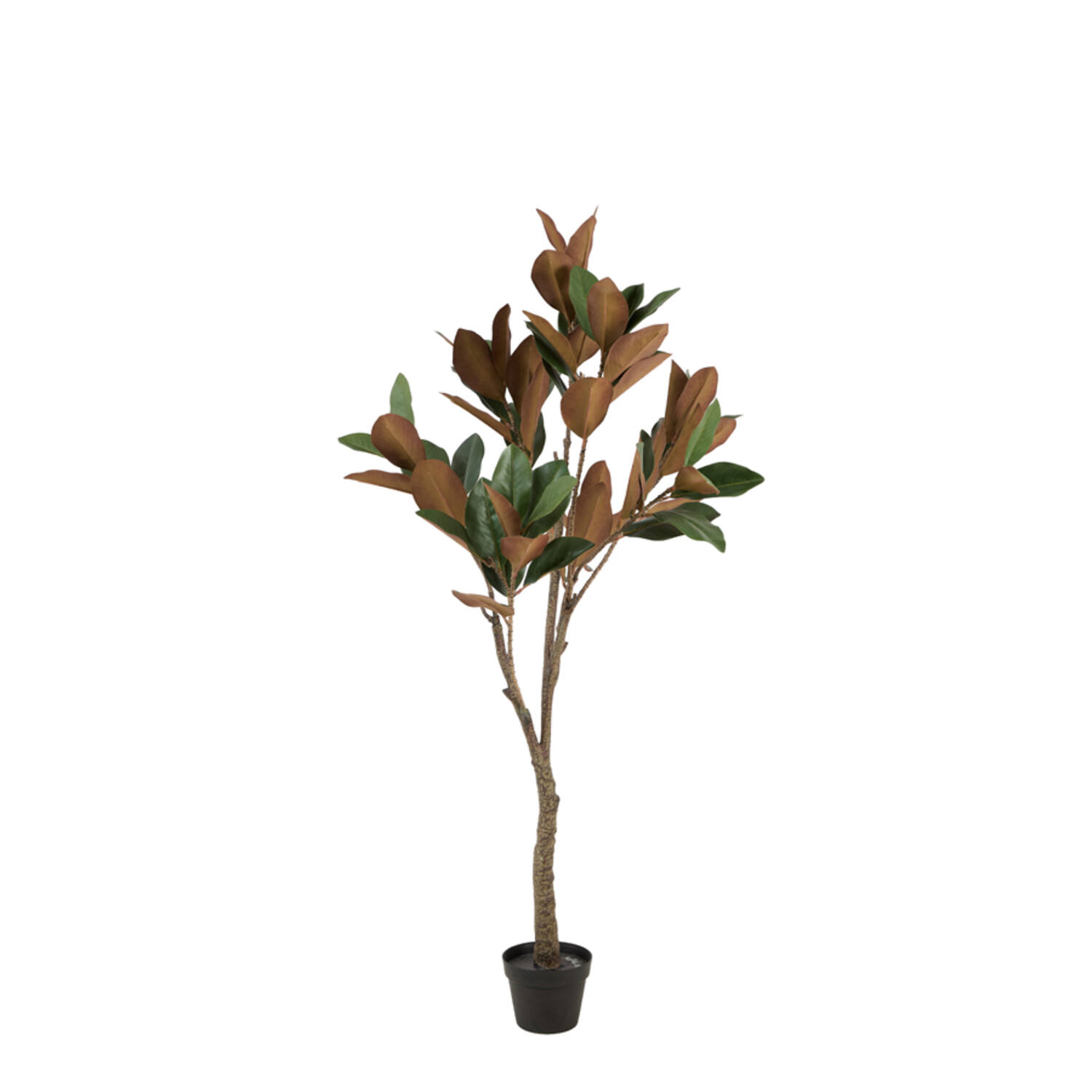 Artificial tree Ø55x150 cm MAGNOLIA green+brown