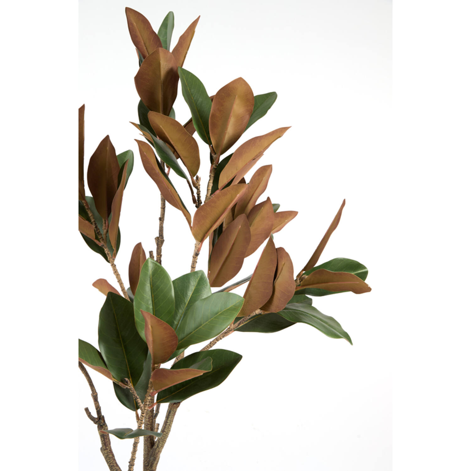 Artificial tree Ø55x150 cm MAGNOLIA green+brown