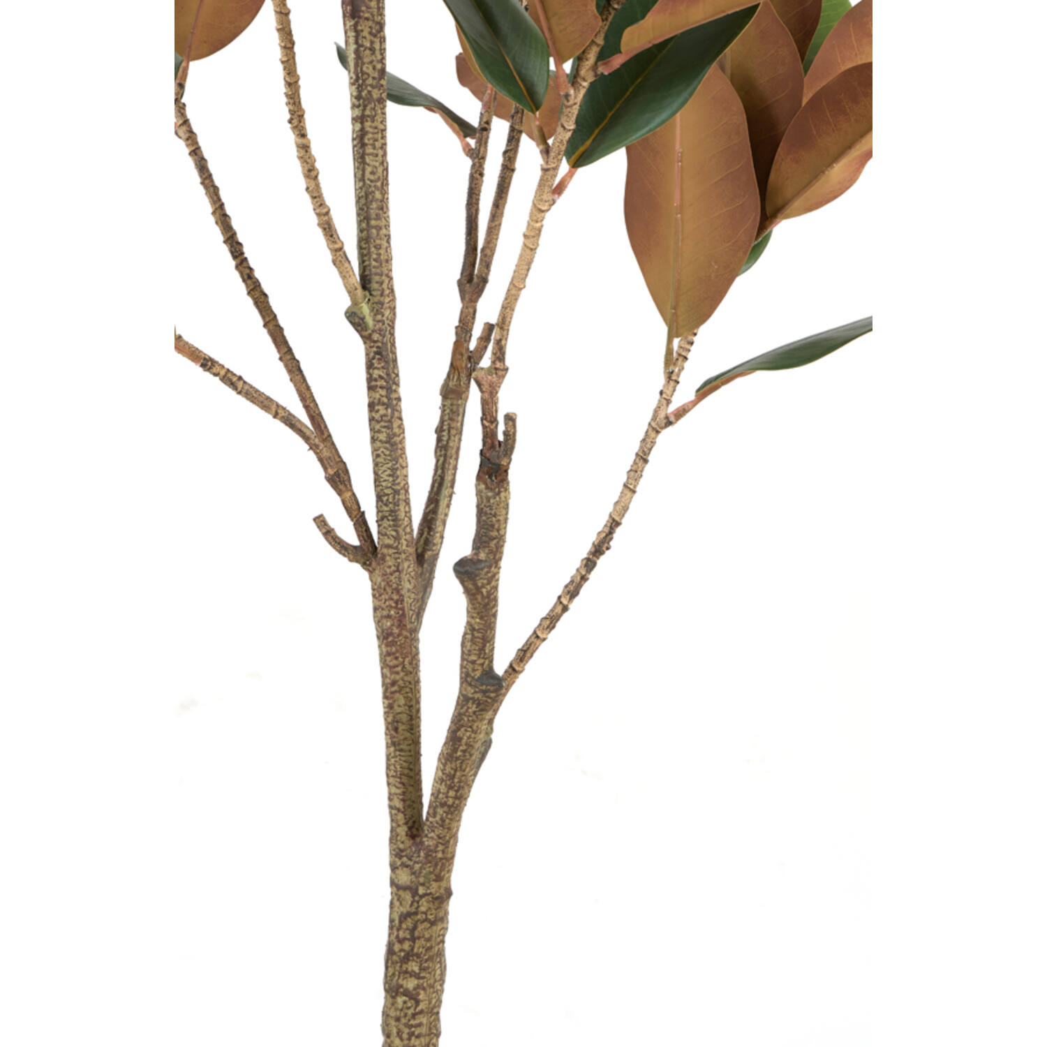 Artificial tree Ø55x150 cm MAGNOLIA green+brown