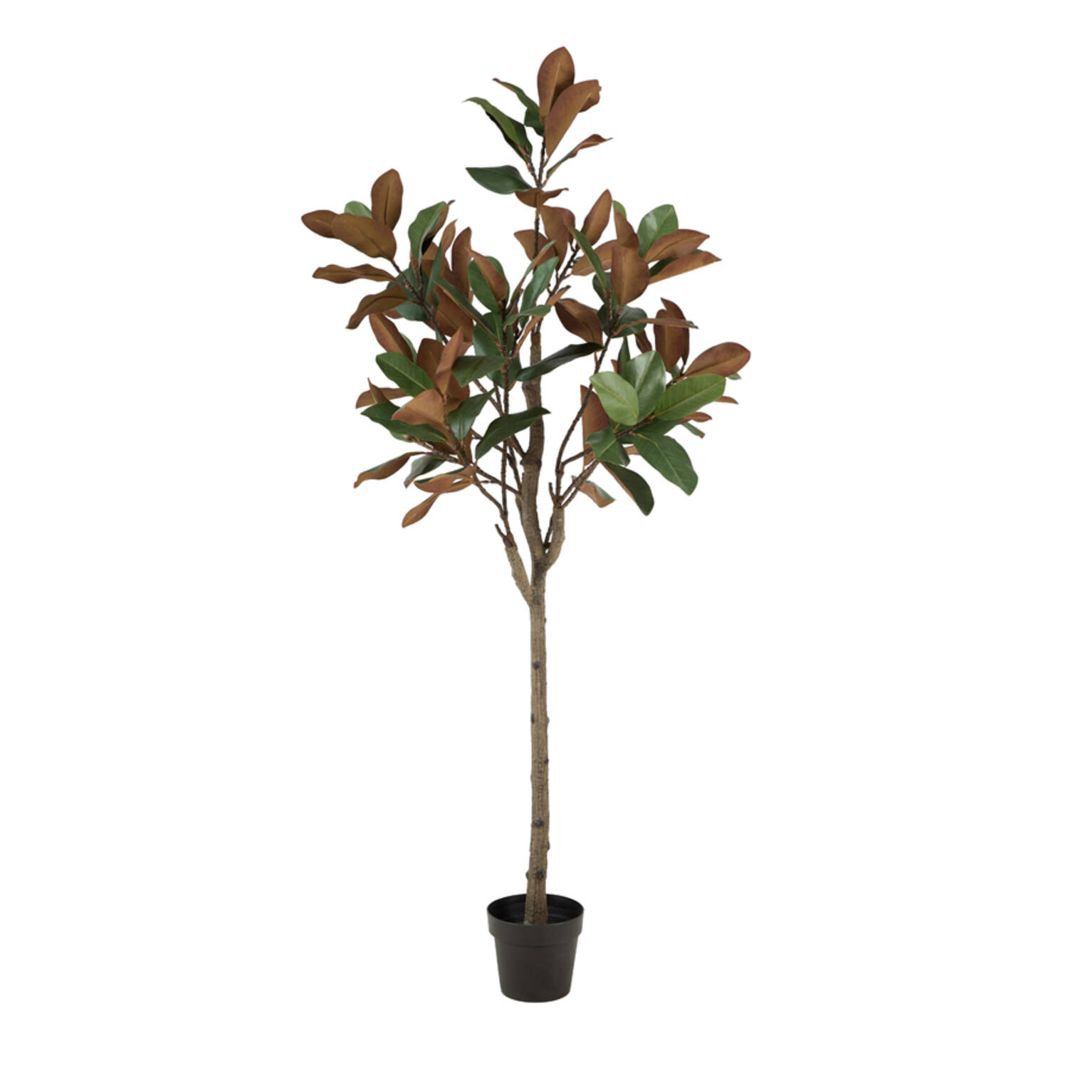Artificial tree Ø60x180 cm MAGNOLIA green+brown
