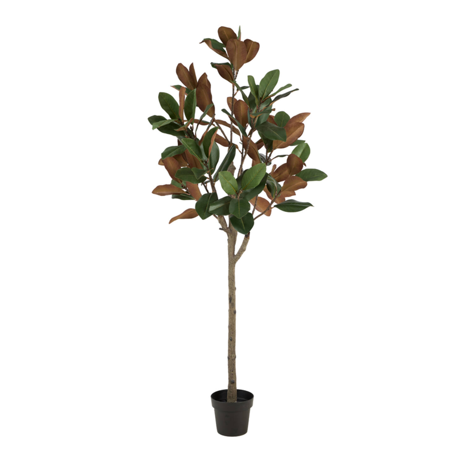 Artificial tree Ø60x180 cm MAGNOLIA green+brown