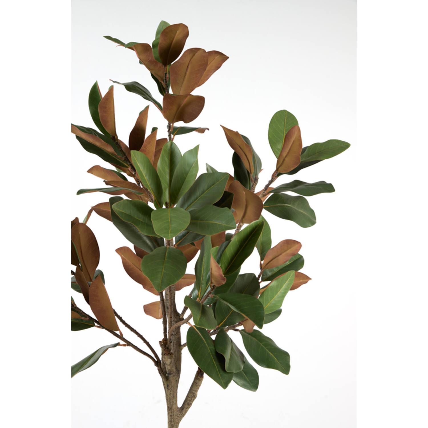 Artificial tree Ø60x180 cm MAGNOLIA green+brown