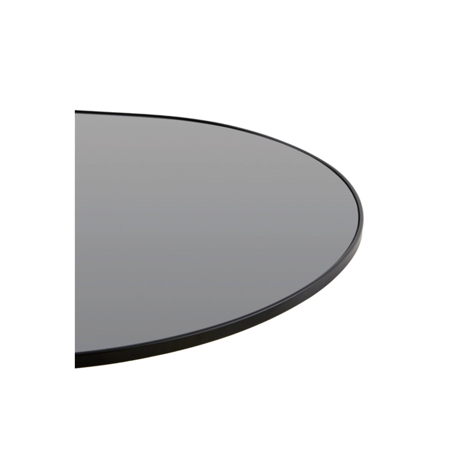 Spiegel 80x1,5x180 cm ZENETO smoke glas+zwart