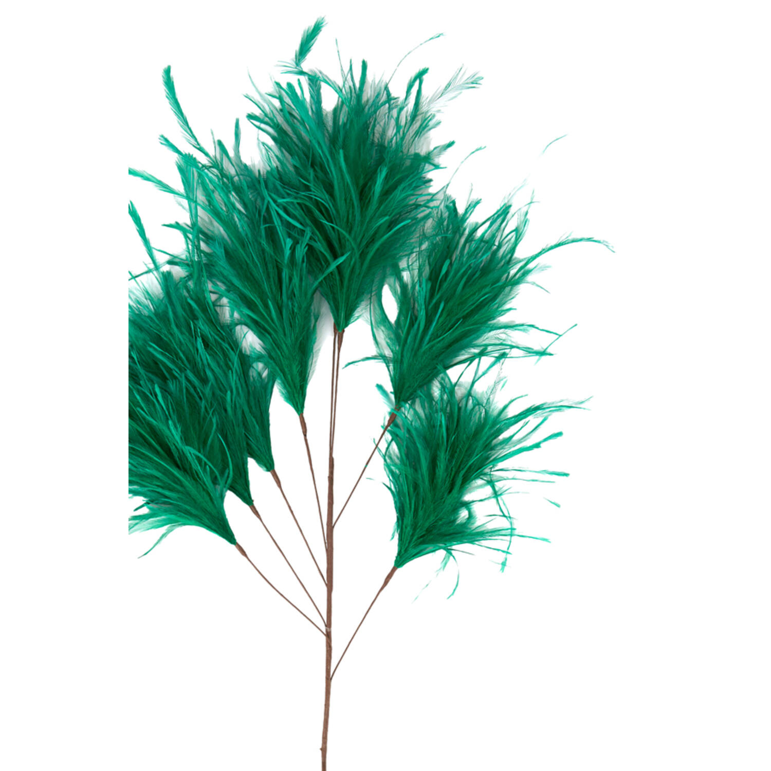 Ornament 8 veren 95 cm FEATHER groen