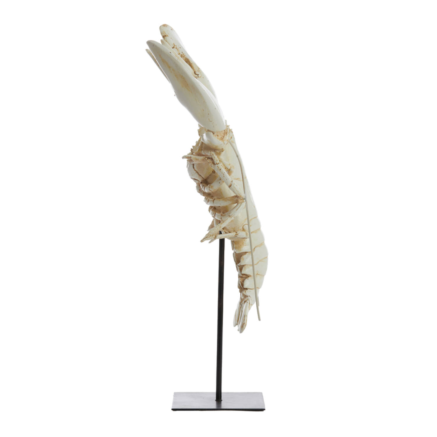 Ornament op voet 25x14x56,5 cm LOBSTER gebroken wit
