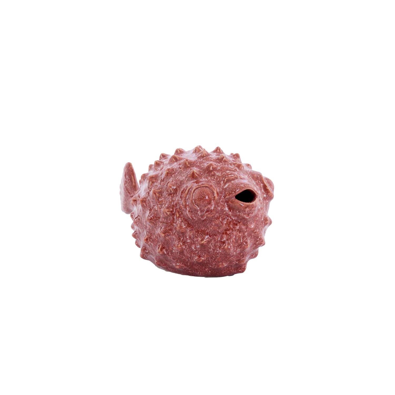 Ornament 25,5x14,5x14 cm FISH keramiek koraal