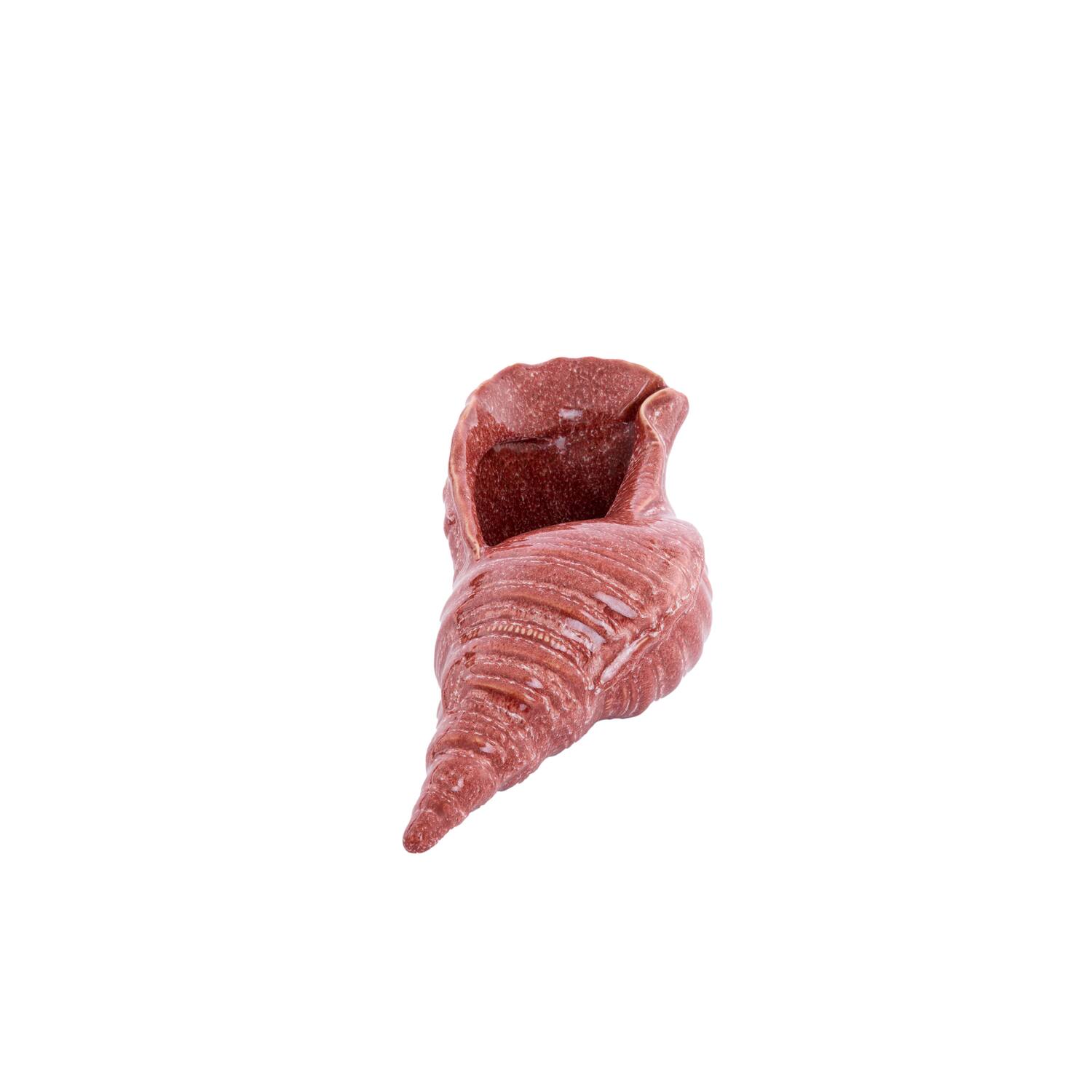 Ornament 30x15x11,5 cm SHELL keramiek koraal
