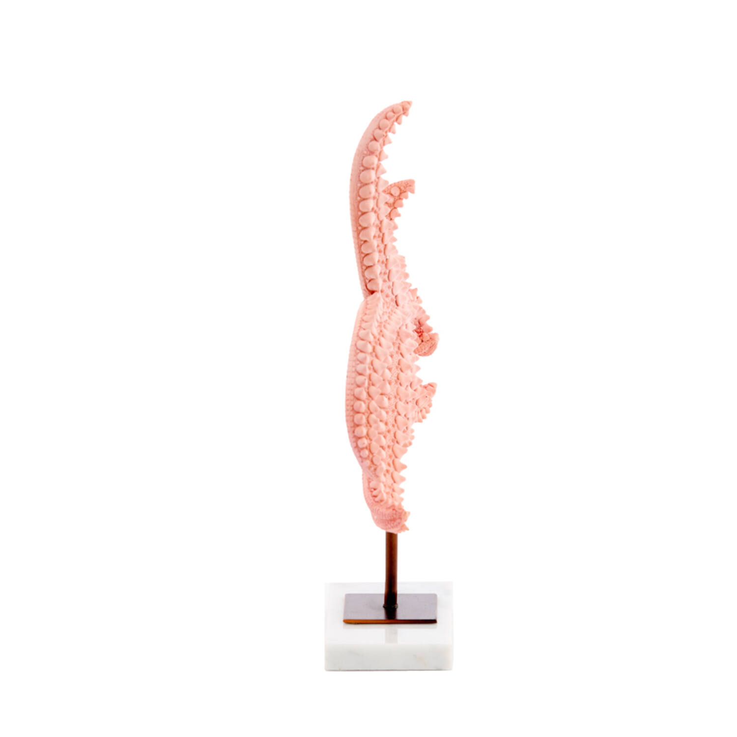 Ornament on base 28x8x36 cm STARFISH light pink+marble white