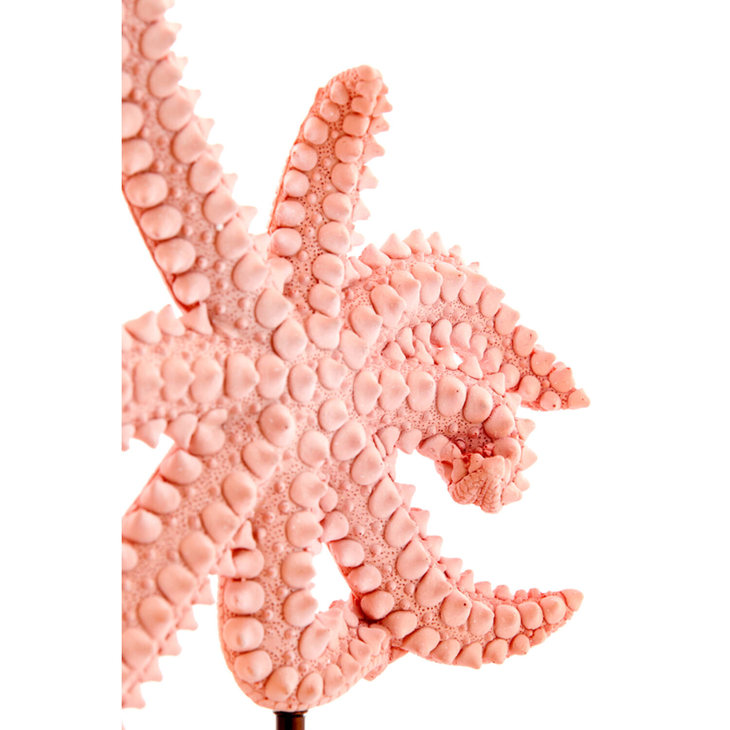 Ornament on base 28x8x36 cm STARFISH light pink+marble white