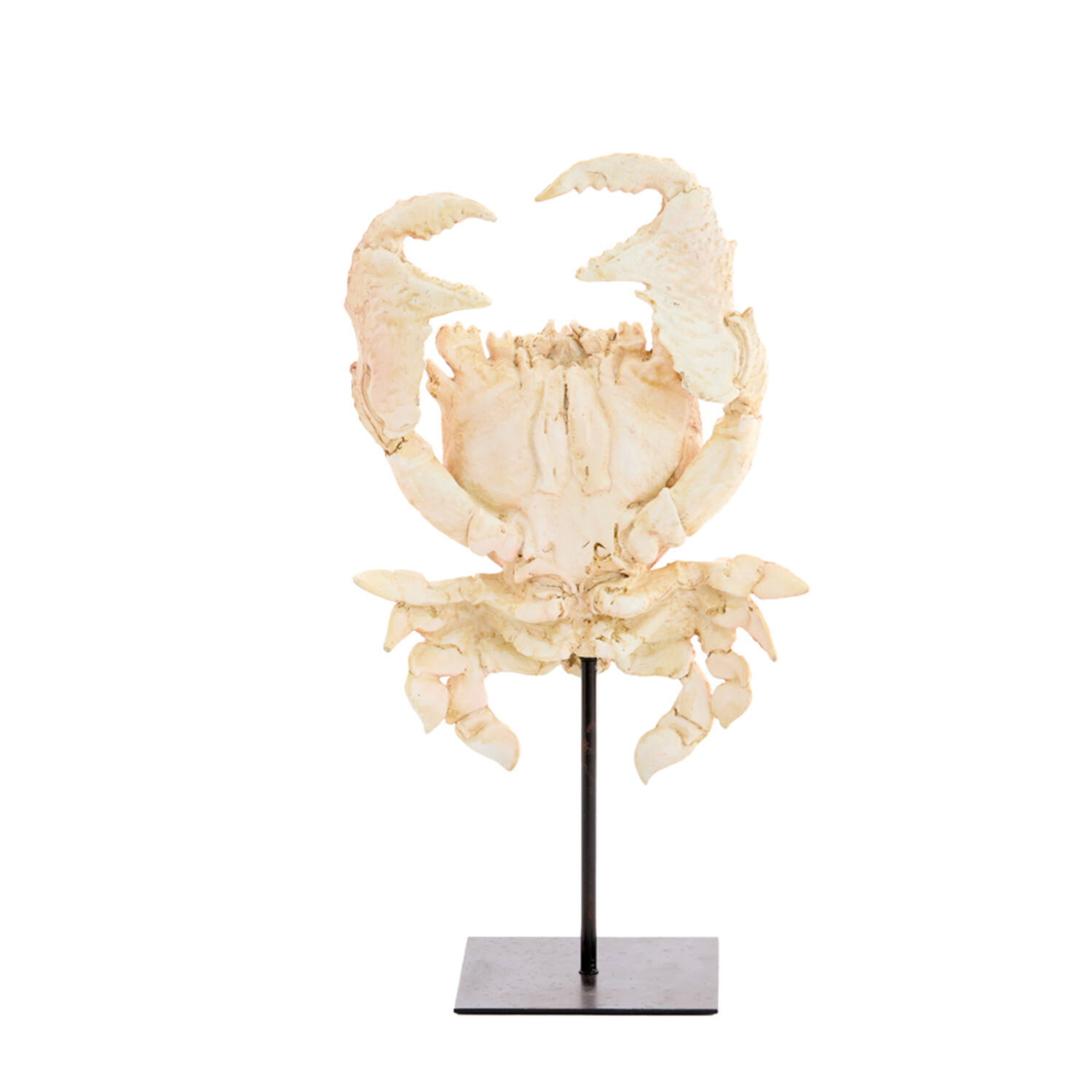 Ornament op voet 23x12,5x42,5 cm CRAB licht koraal