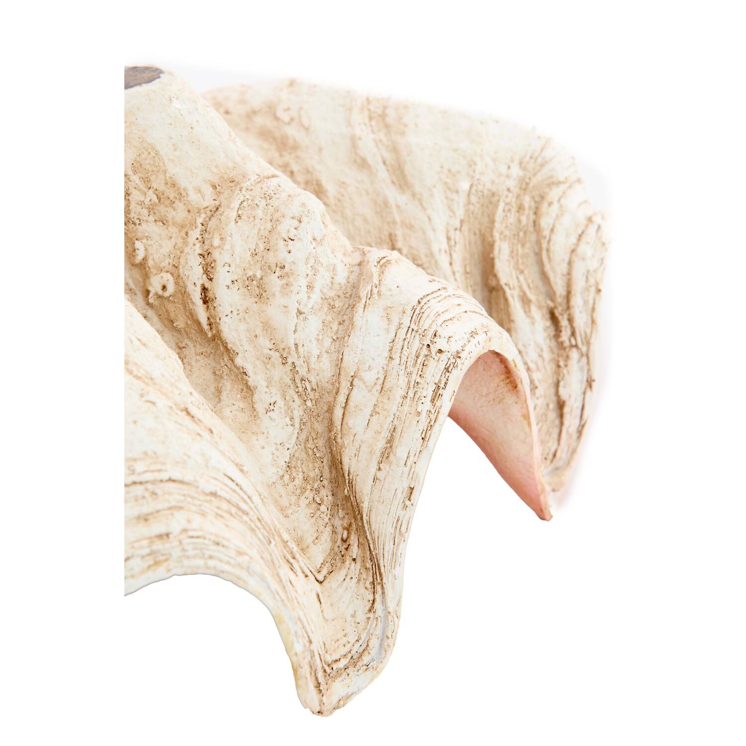 Ornament 23,5x18x11 cm SHELL crème+koraal