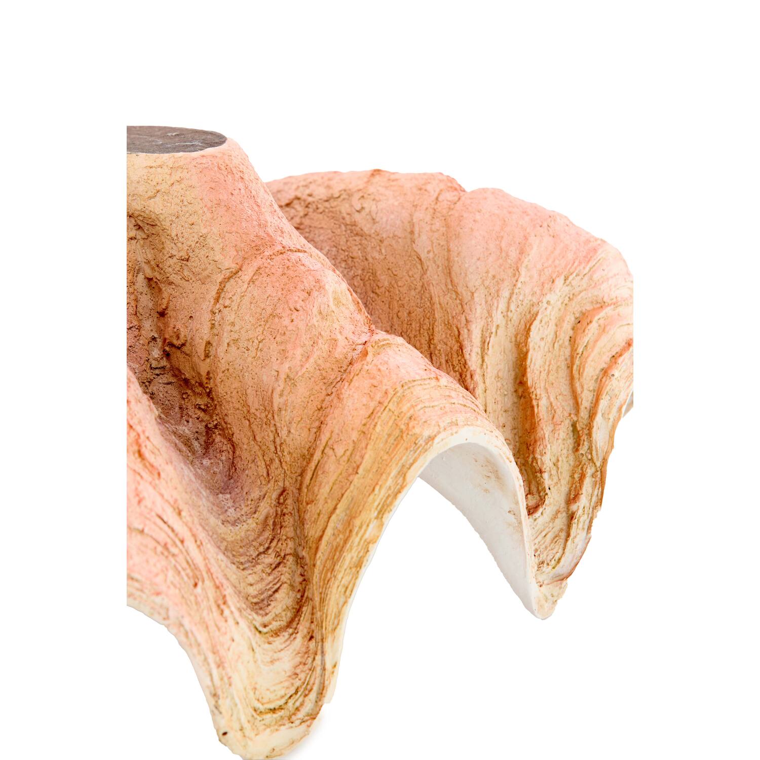 Ornament 20x12,5x7,5 cm SHELL coral+cream