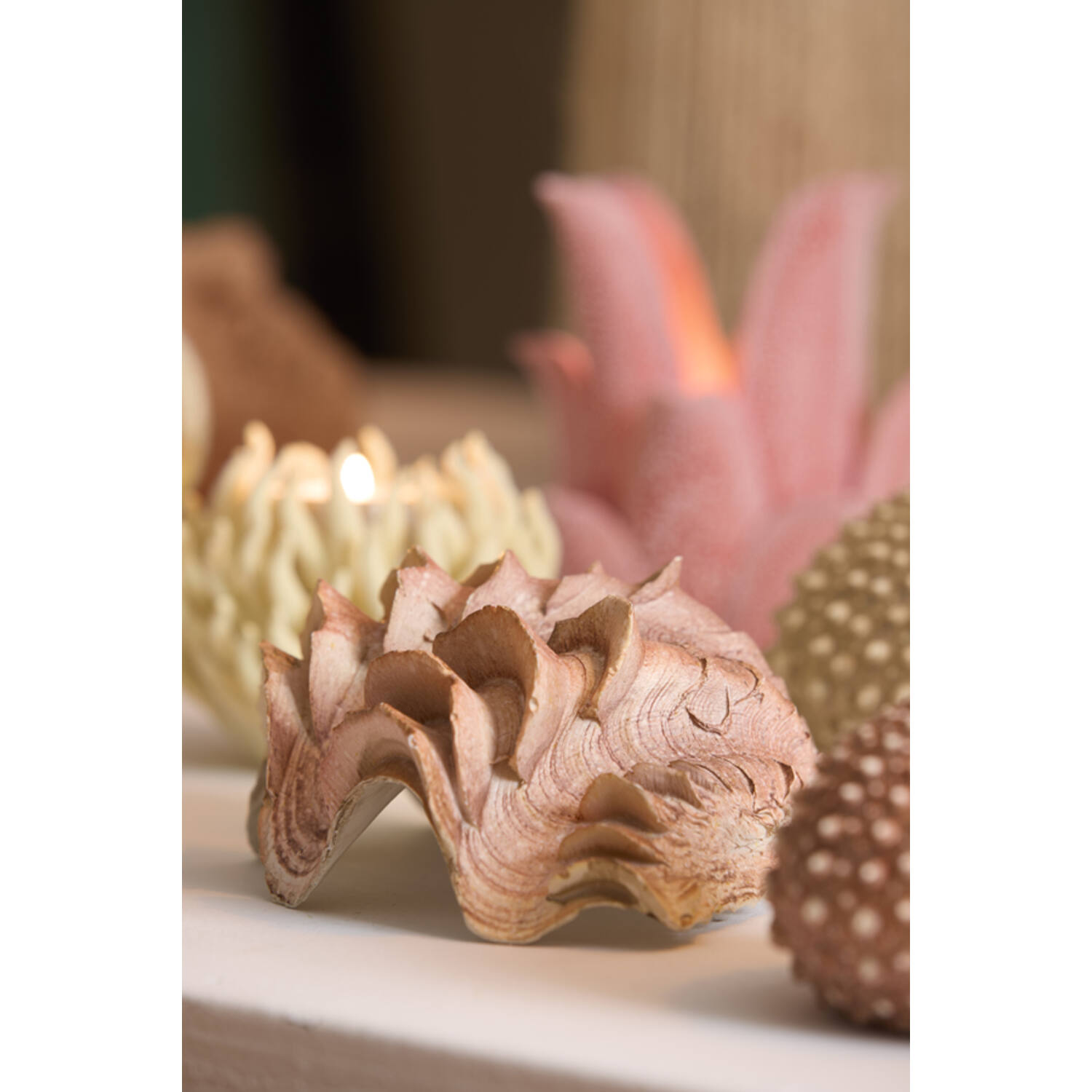 Ornament 20x12,5x7,5 cm SHELL coral+cream