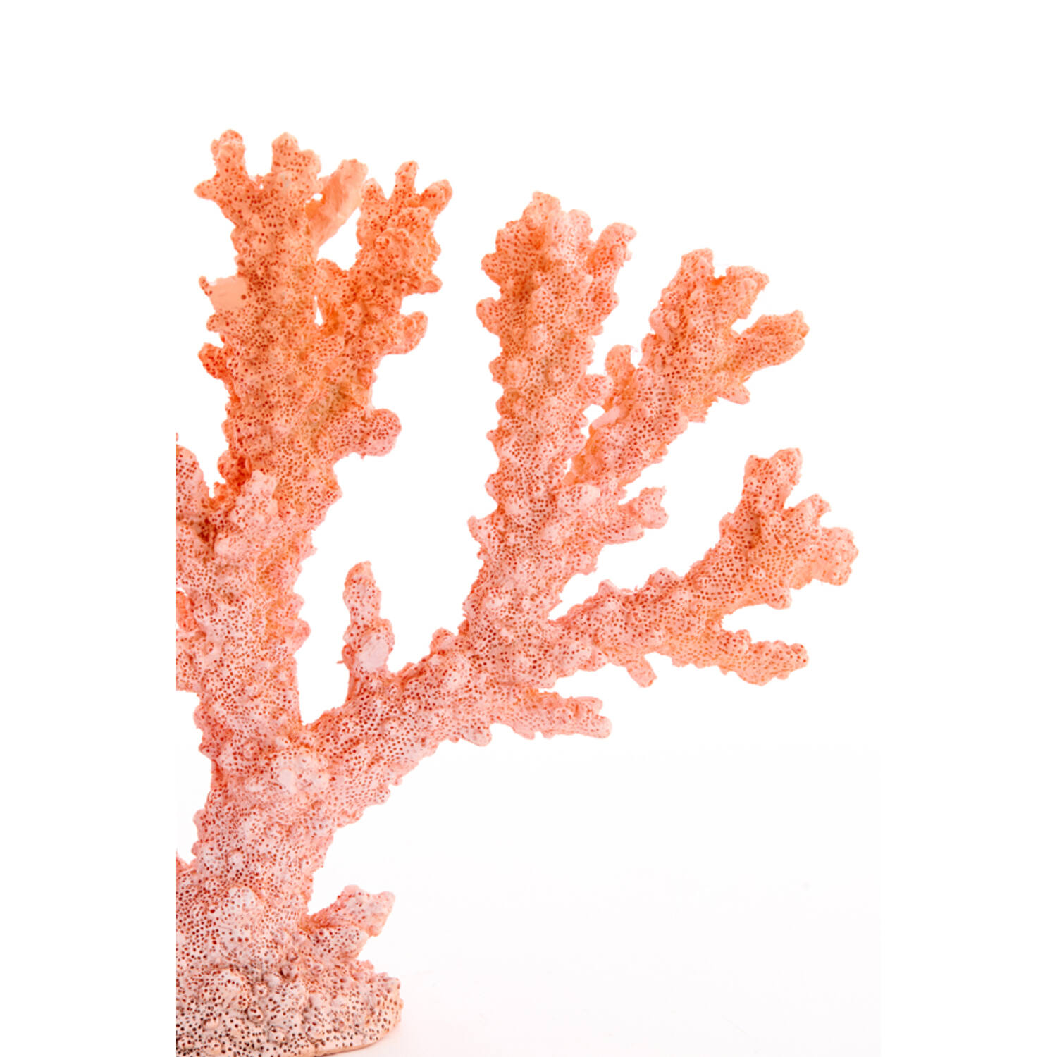 Ornament 34,5x9,5x25 cm CORAL coral