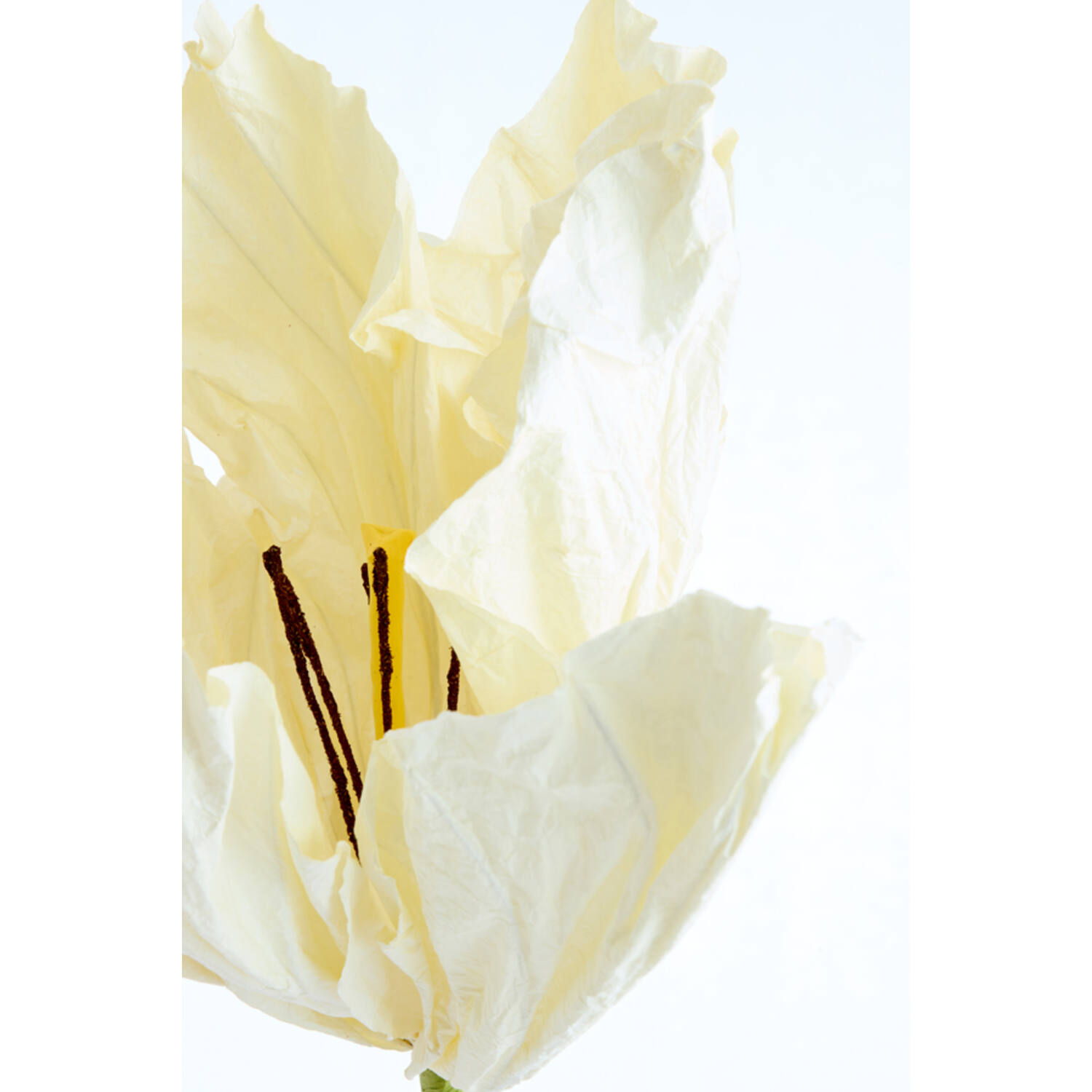 Kunstbloem 32x32x120 cm LOEK papier groen+crème