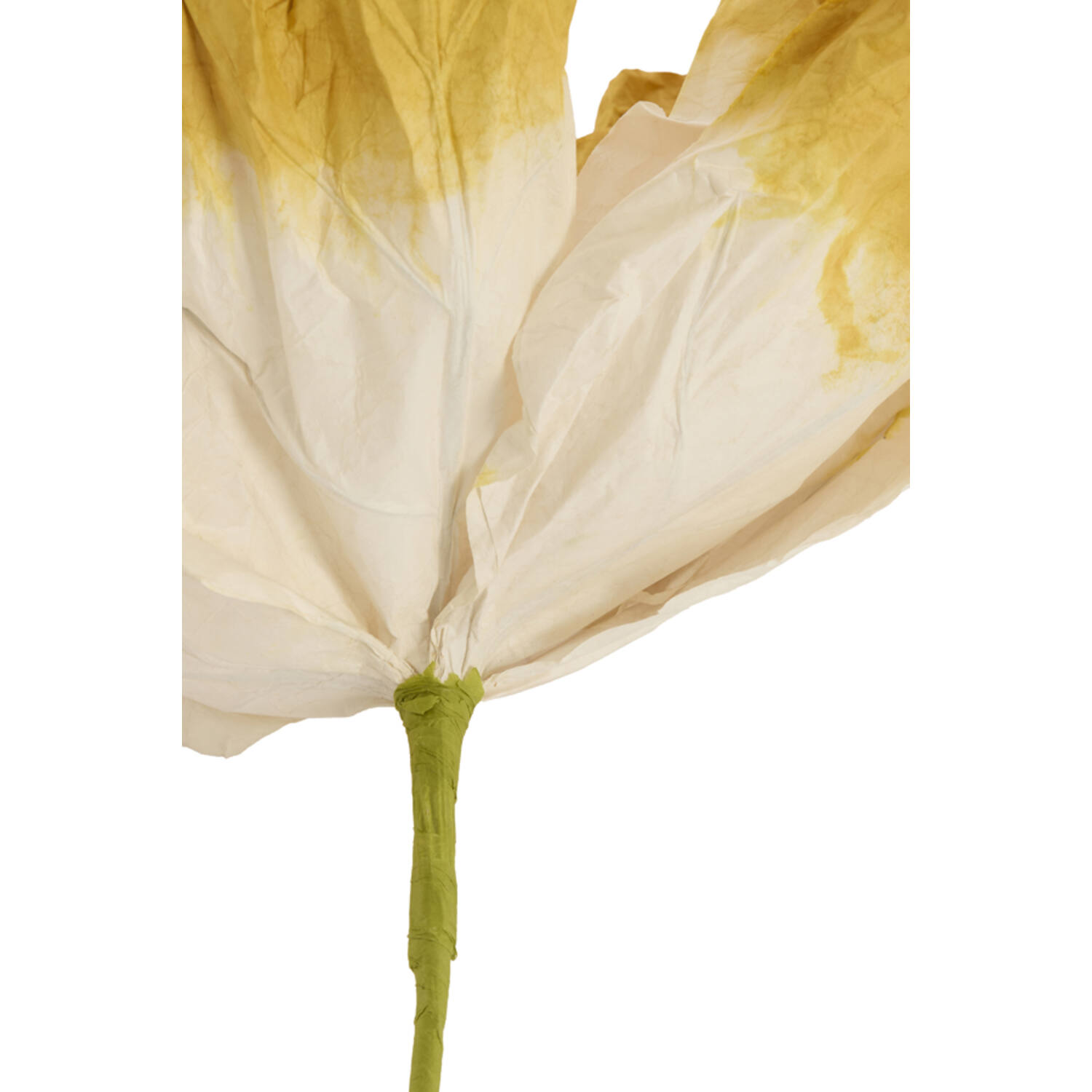 Artificial flower 32x32x120 cm LOEK paper green+yellow