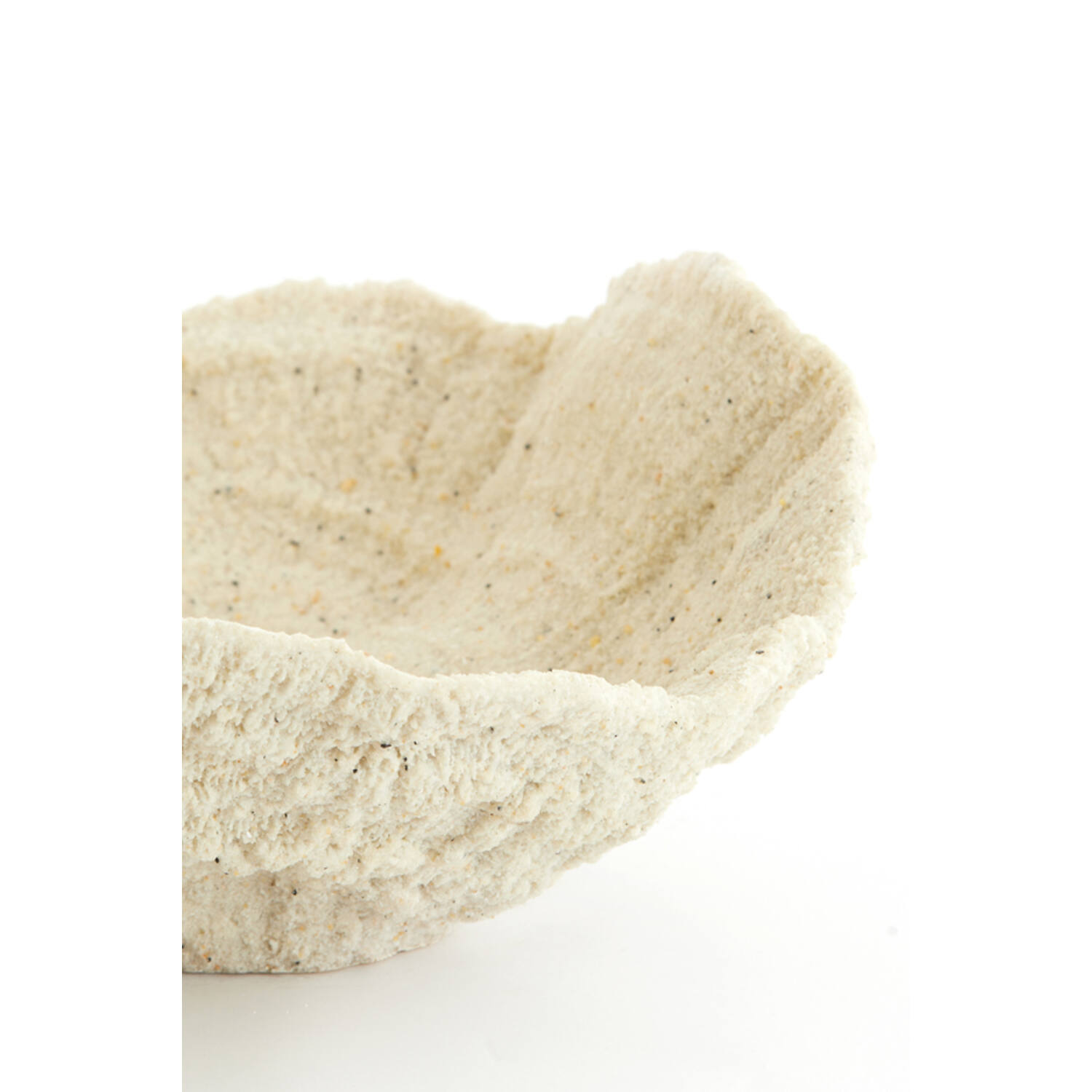 Ornament 25x23x11 cm CORAL cream